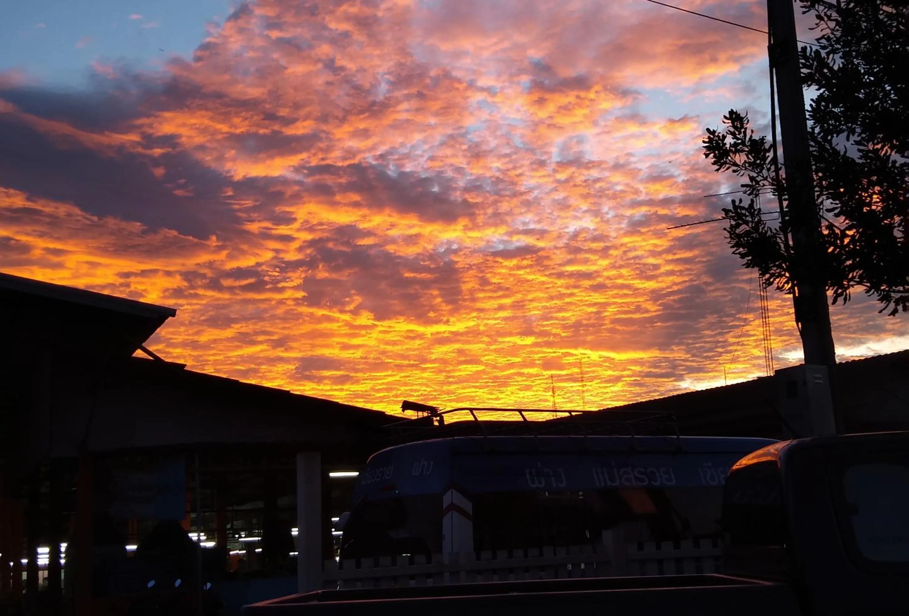 Natural landscape in KYP Khunyuw Place Hotel โรงแรมเควายพี ขุนยูวเพลส ฝาง