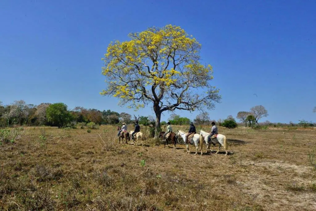 Horse-riding in Canoas Hotel