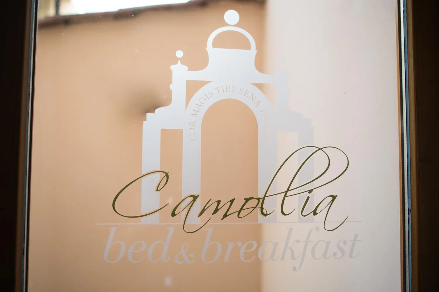 Bed & Breakfast Camollia