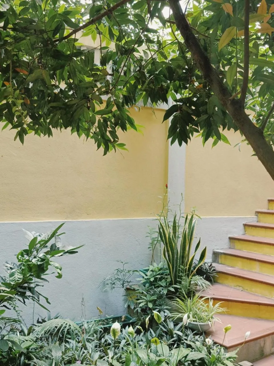 Garden view in Riverside Plum Garden Villa