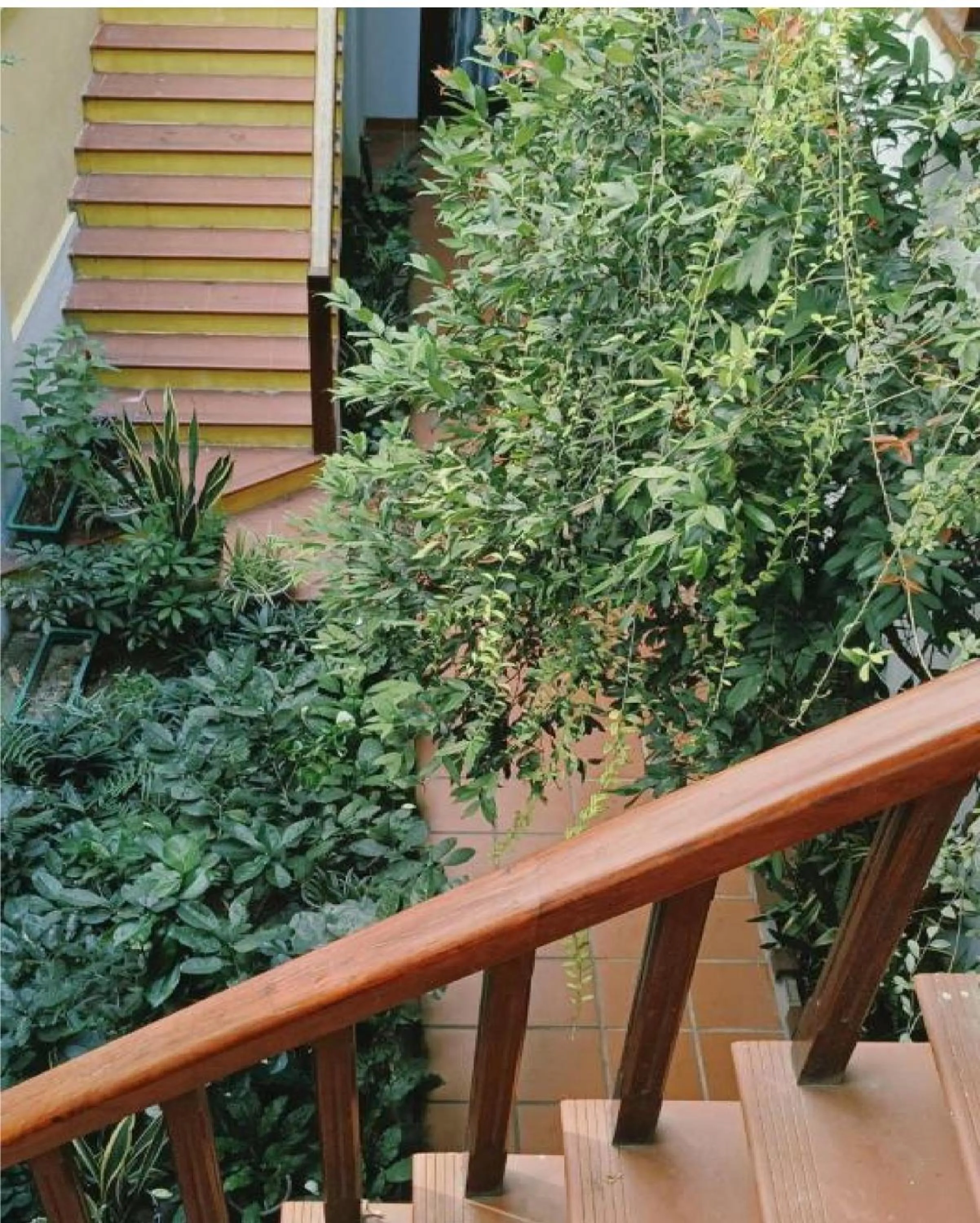 Garden in Riverside Plum Garden Villa