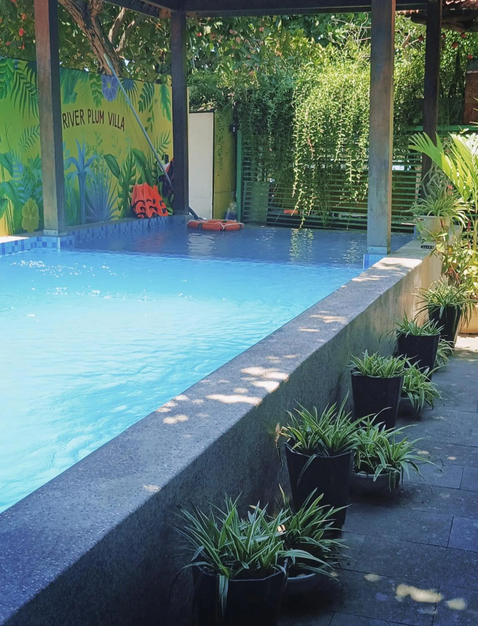 Swimming pool in Riverside Plum Garden Villa