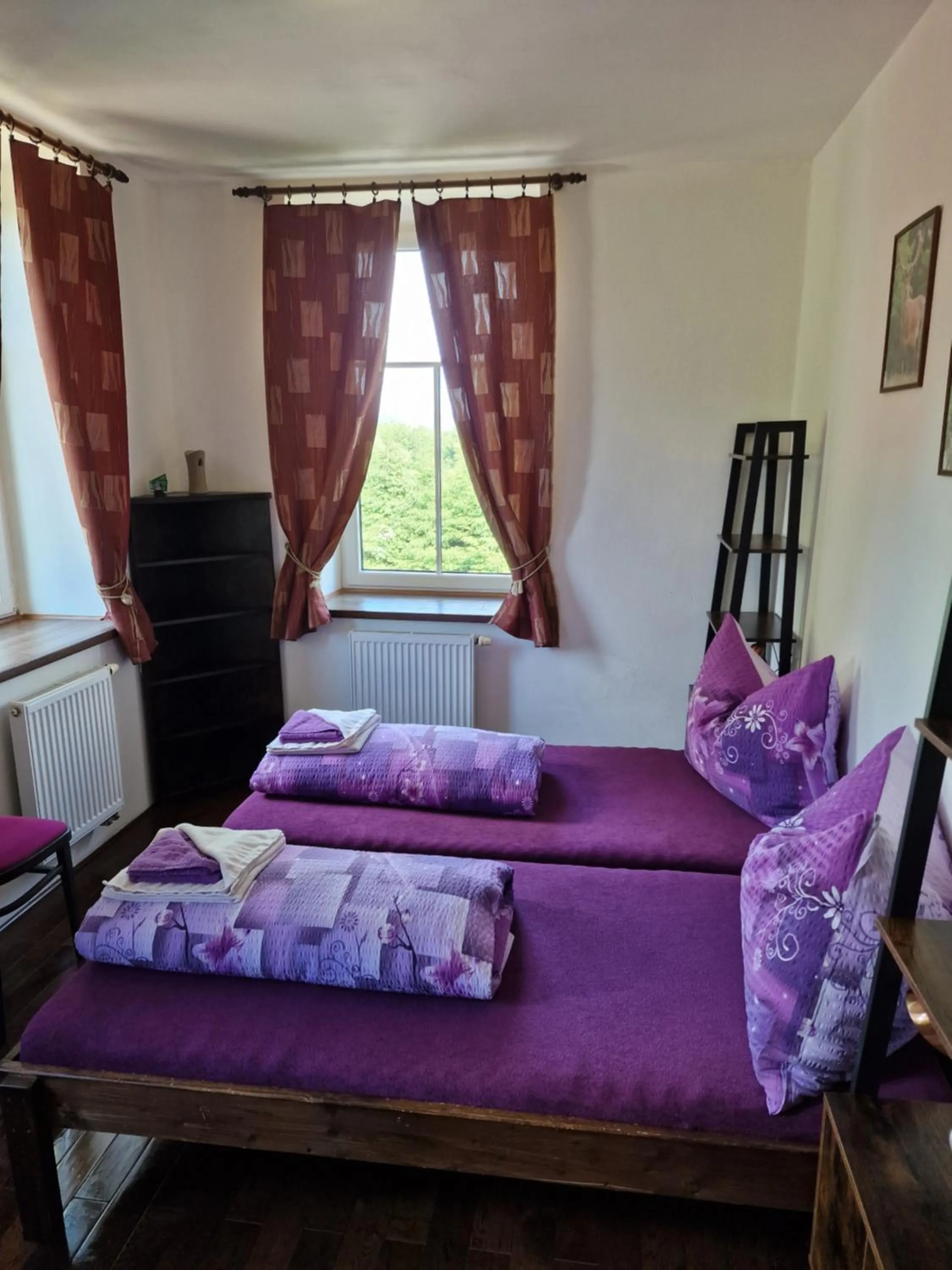 Double or Twin Room - single occupancy in Vlčí Jámy