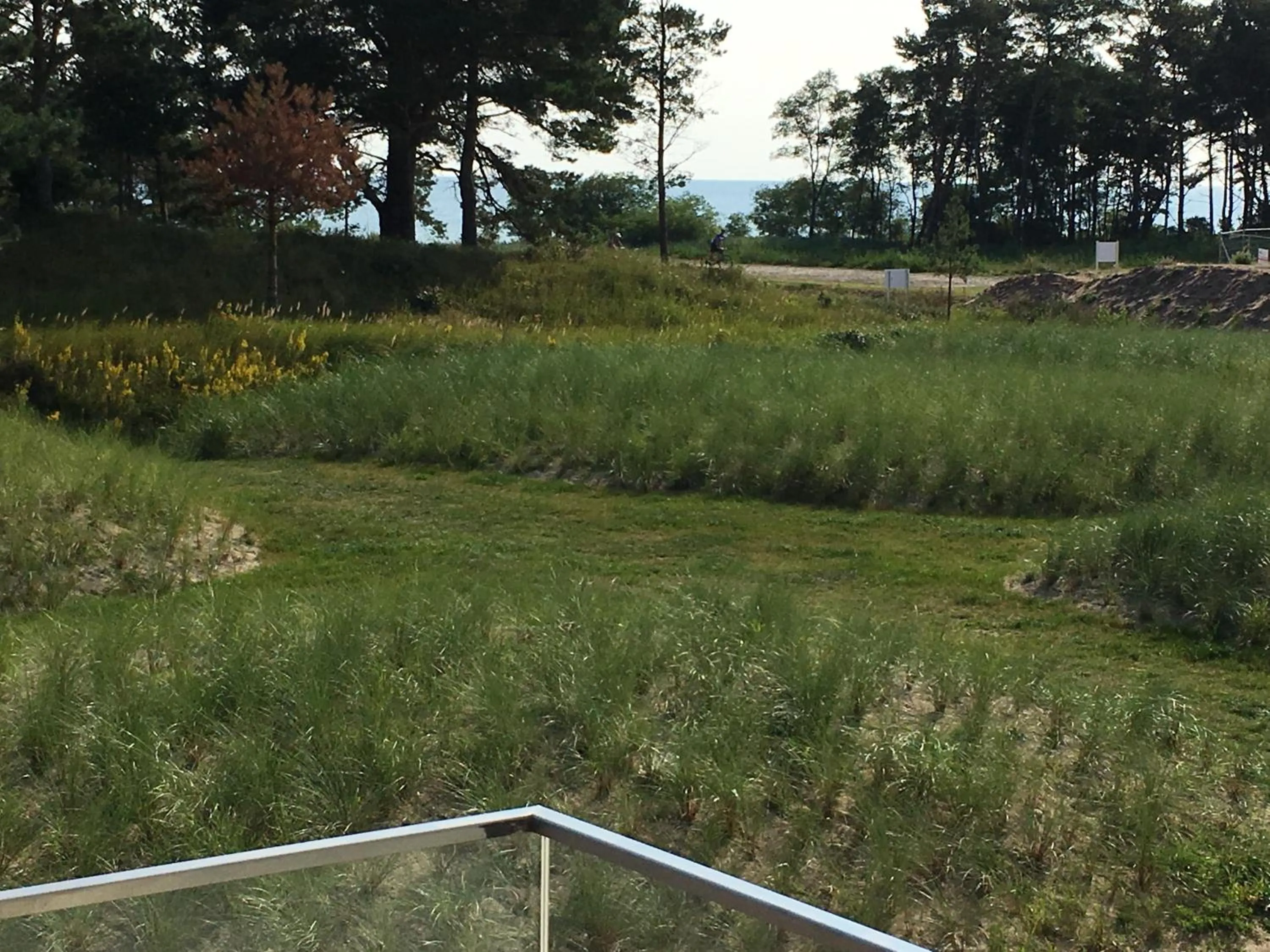 Natural landscape in Prora Solitaire Apartment mit Meerblick Block 2