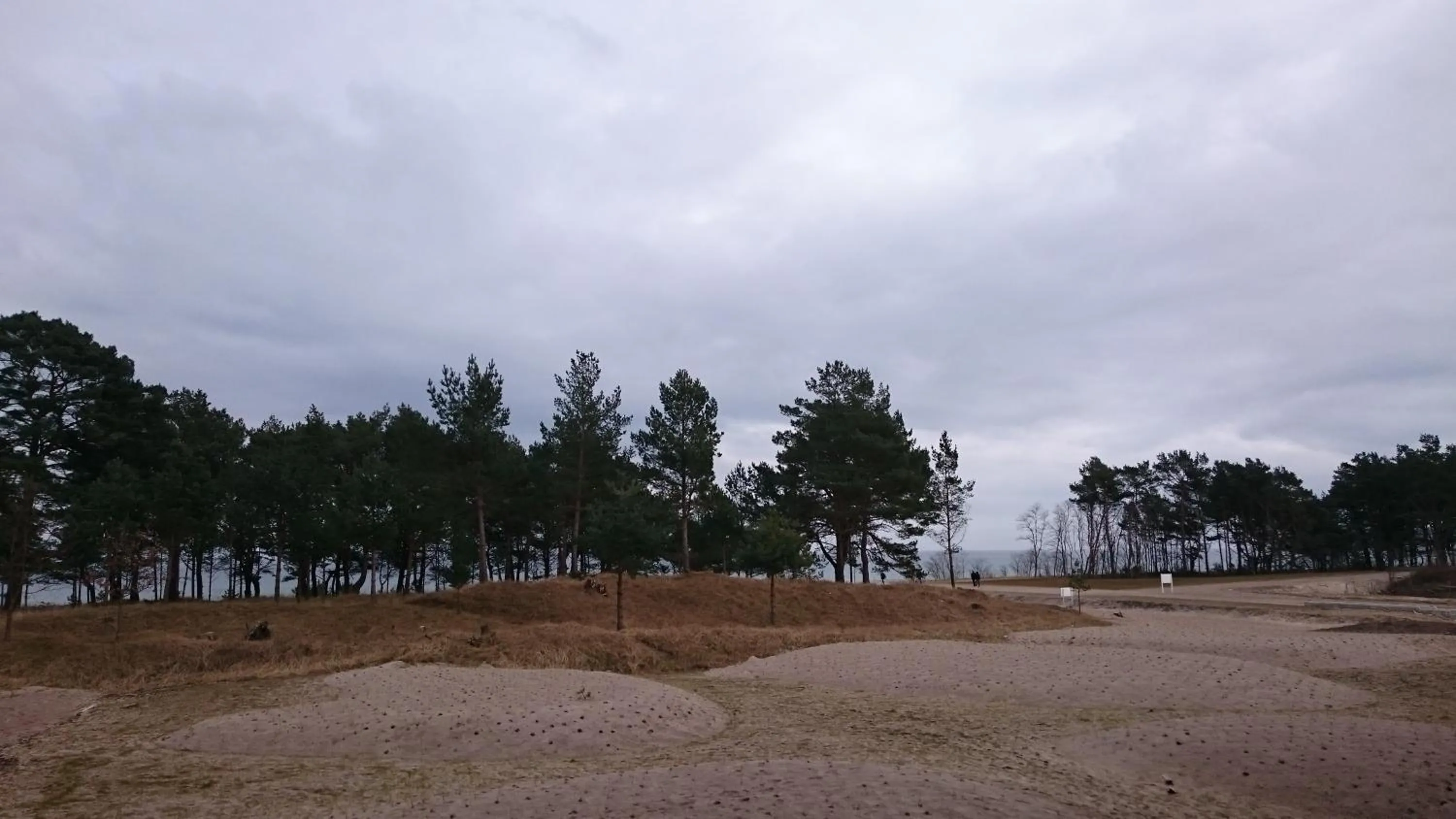 Natural landscape in Prora Solitaire Apartment mit Meerblick Block 2