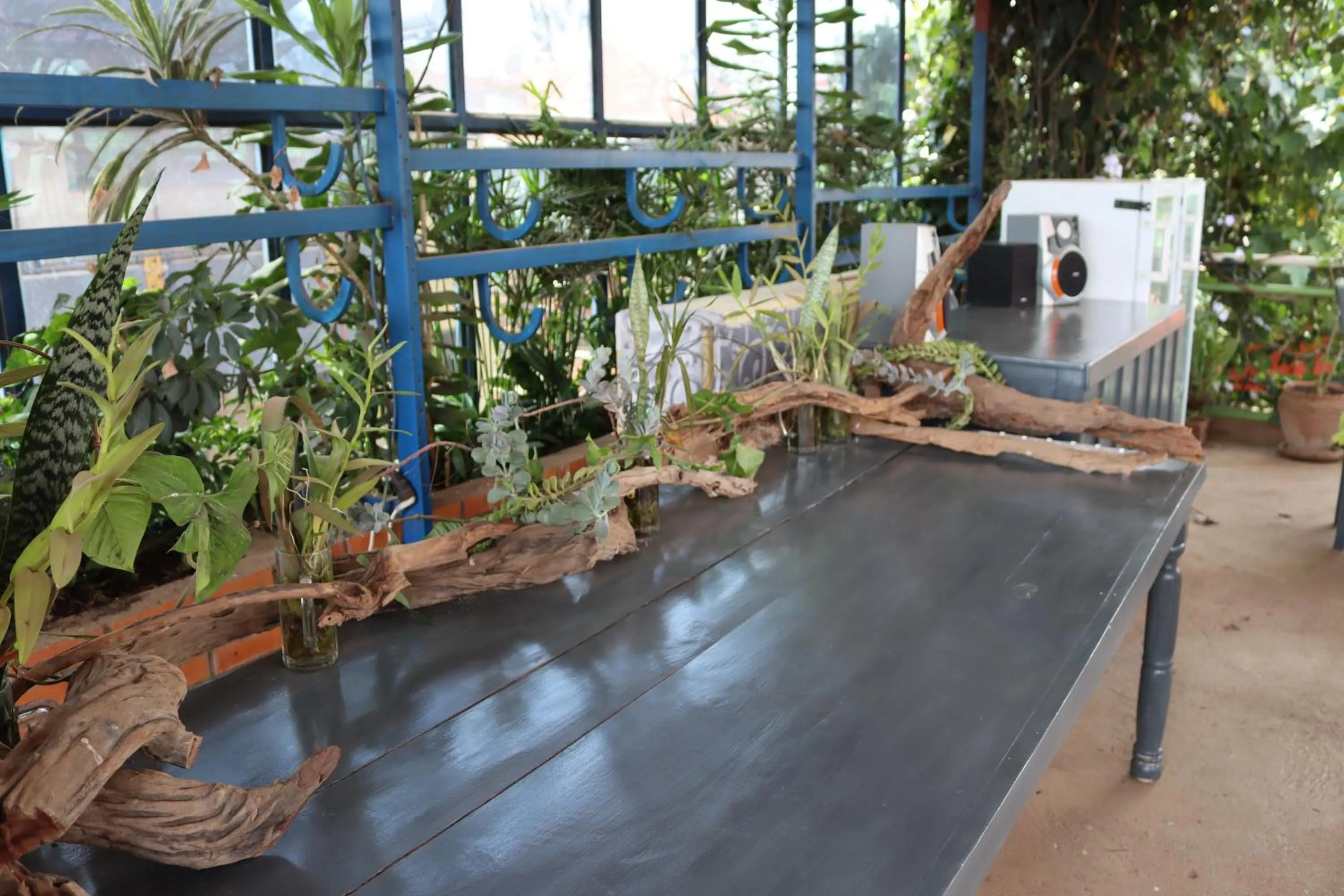 Property building in Umusambi B&B