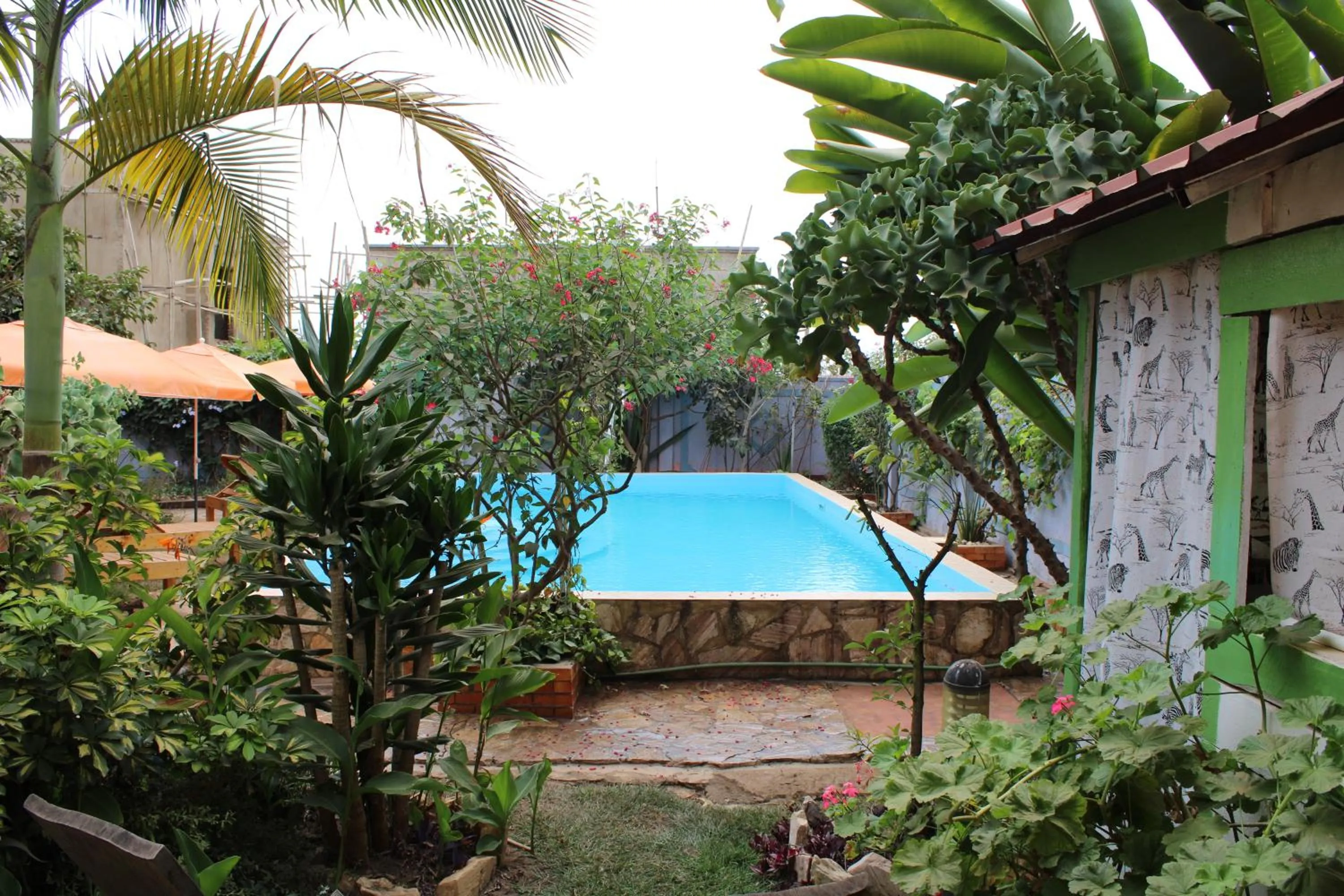 Swimming pool in Umusambi B&B