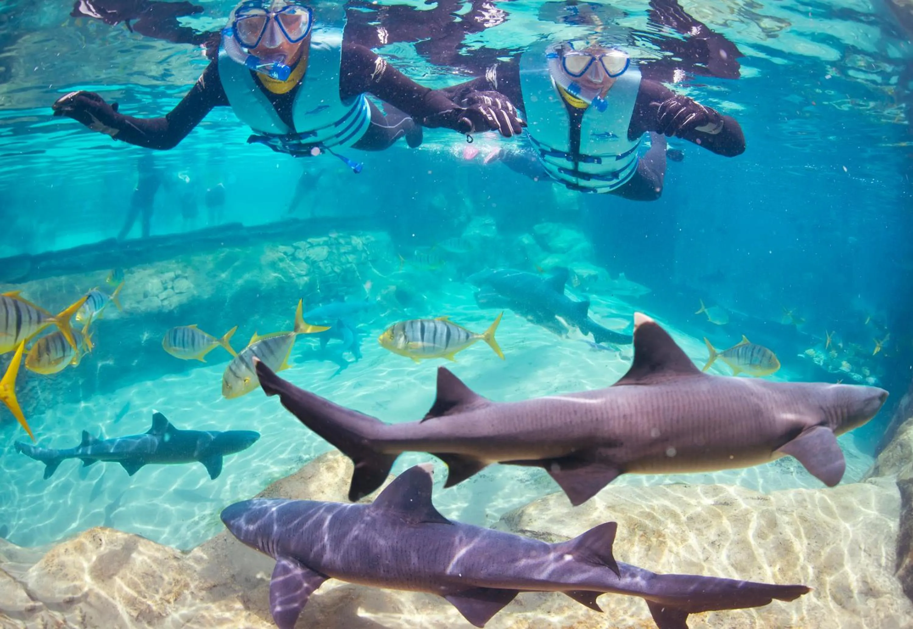 Nearby landmark in Staybridge Suites Orlando at SeaWorld by IHG - Free Breakfast & Shuttle to SeaWorld Parks