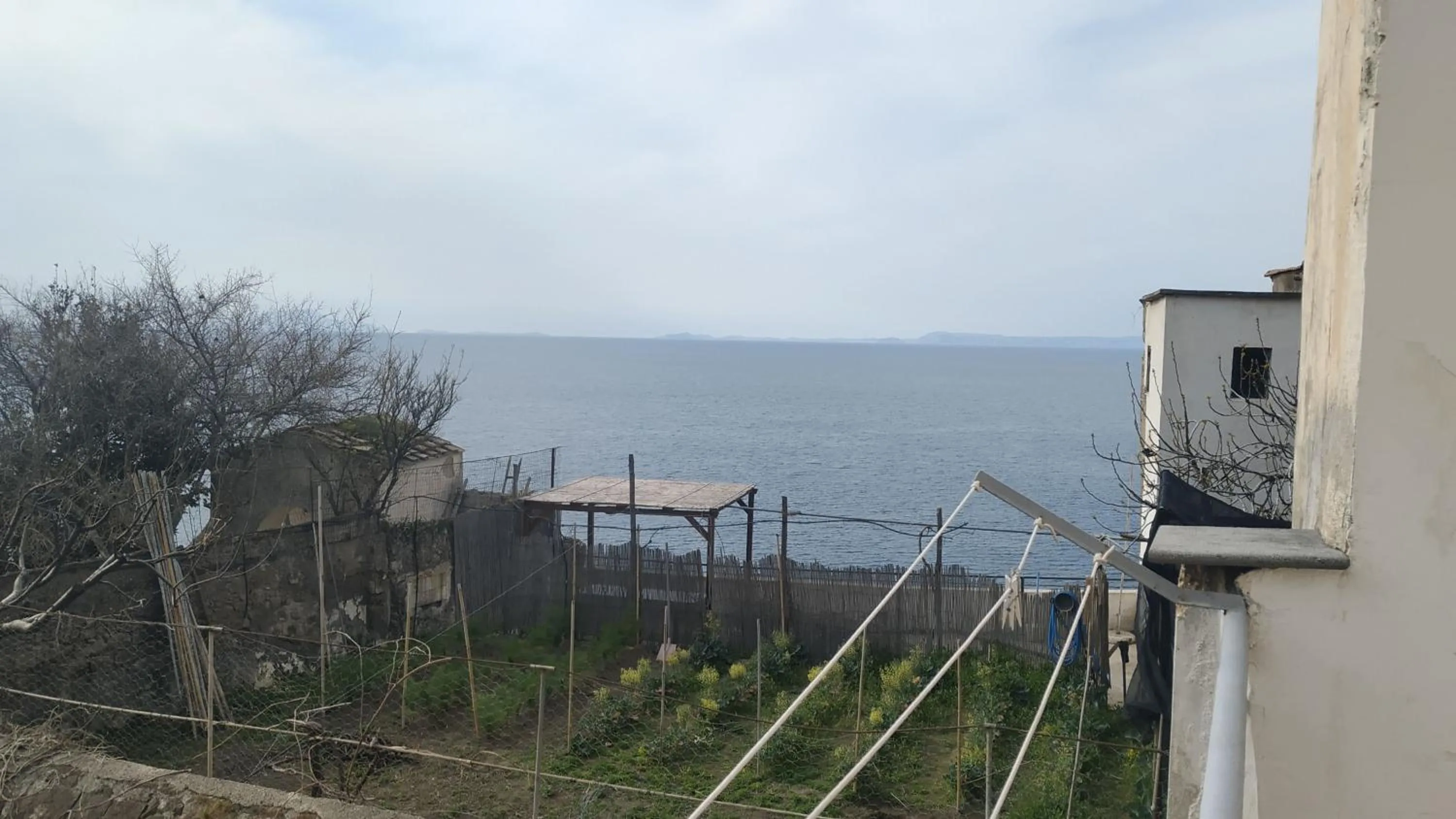 Garden view in B&B Relax