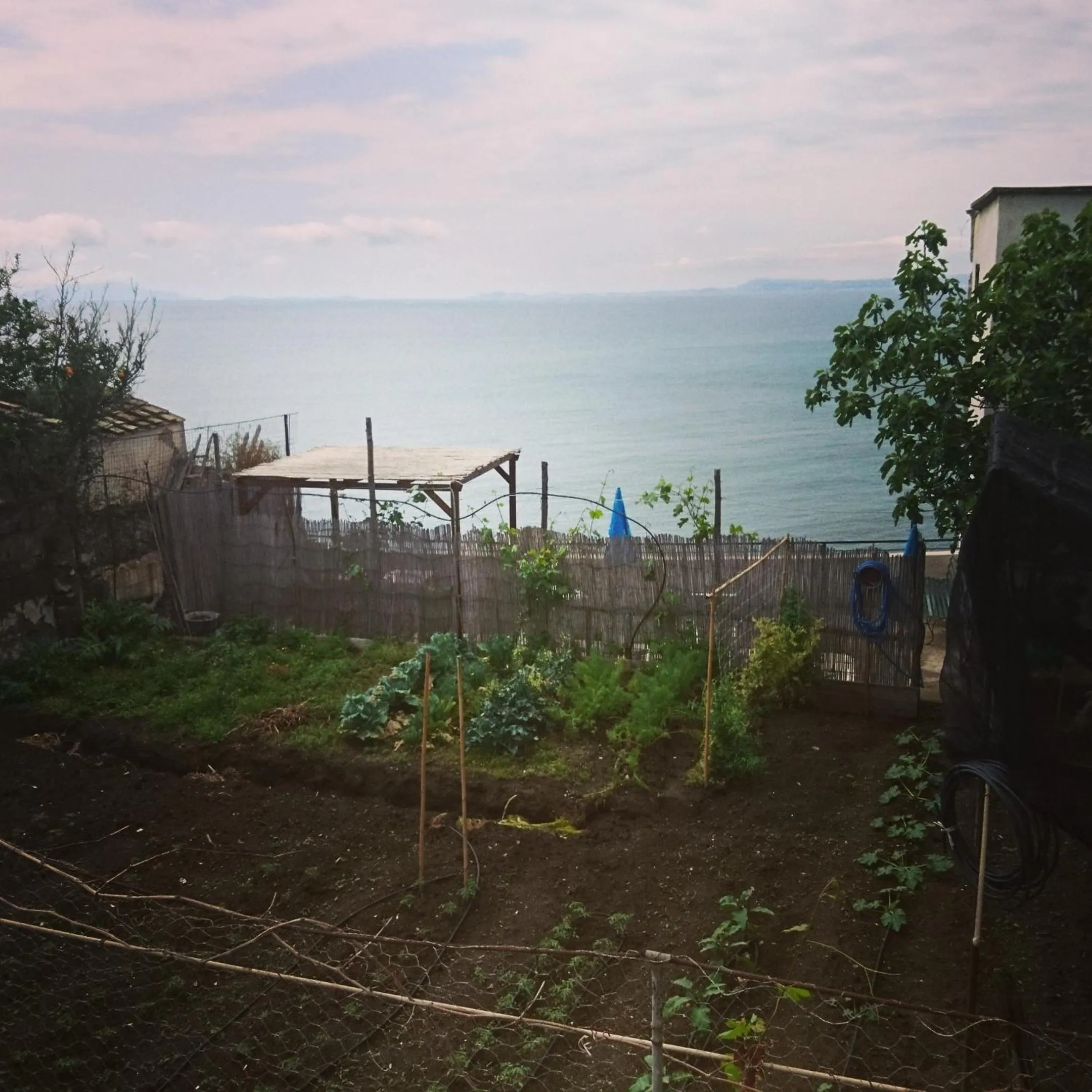 Garden view in B&B Relax