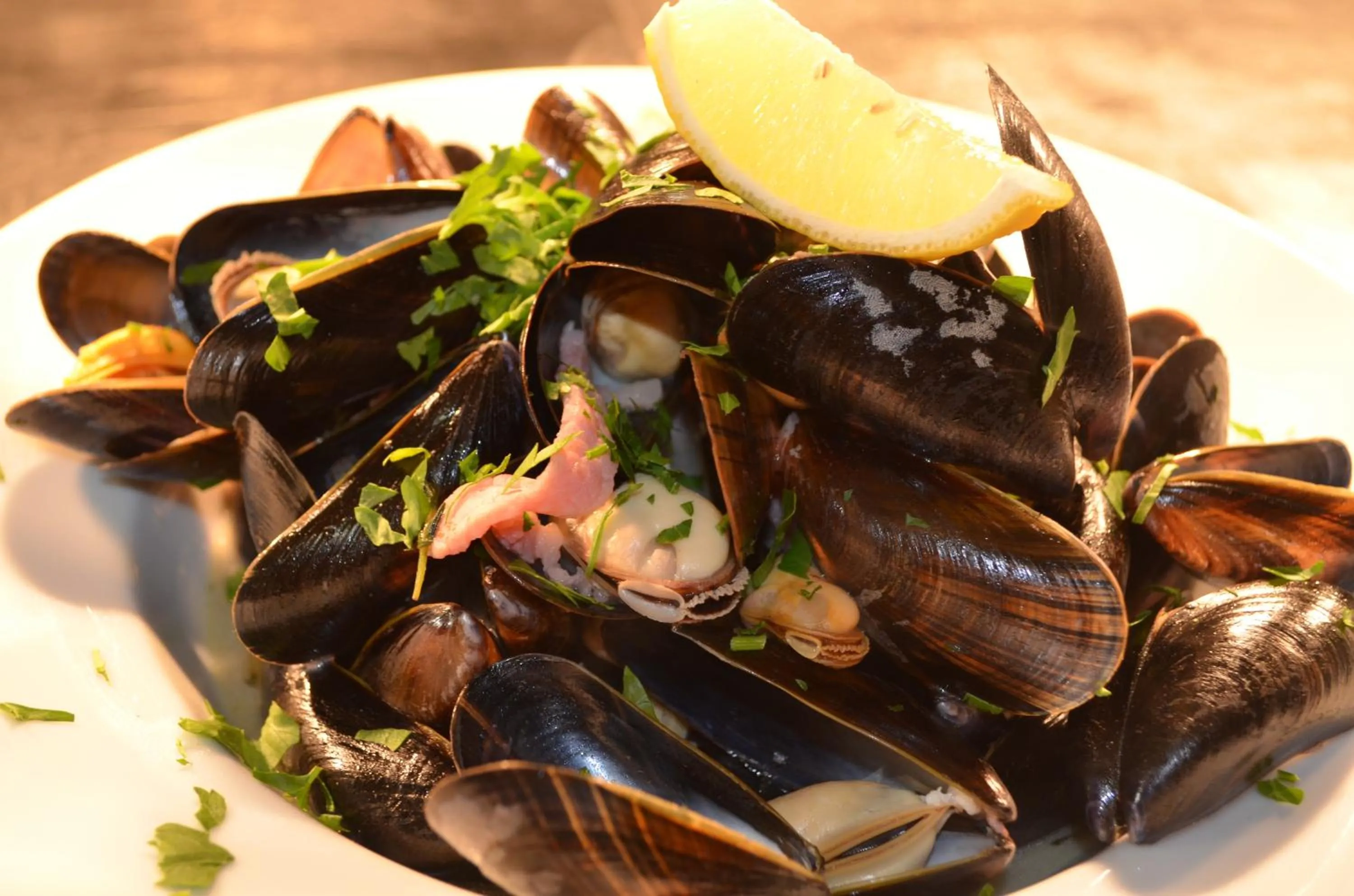 Restaurant/places to eat in The Dolphin Inn