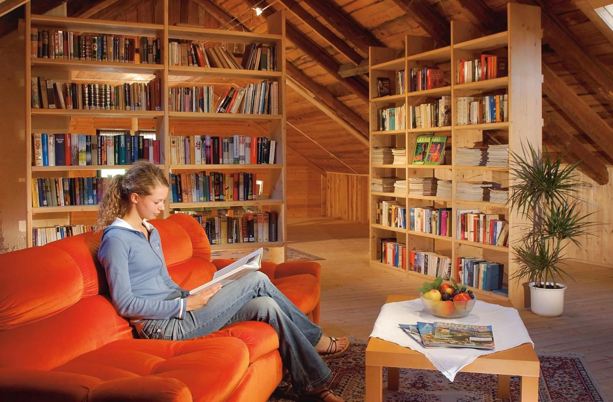 Library in Berghotel Kason