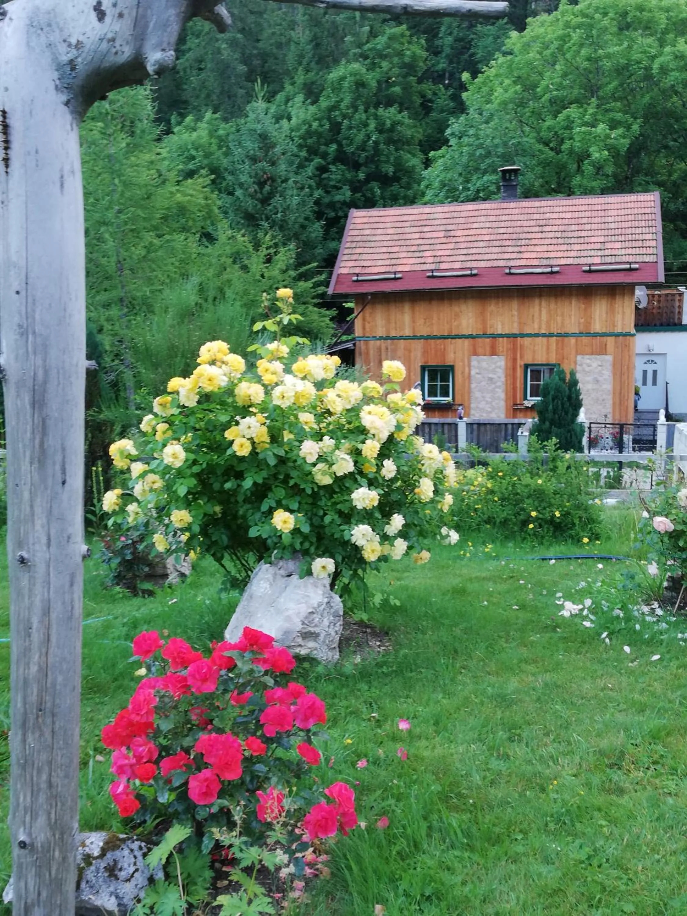 Altes Forsthaus am Bach