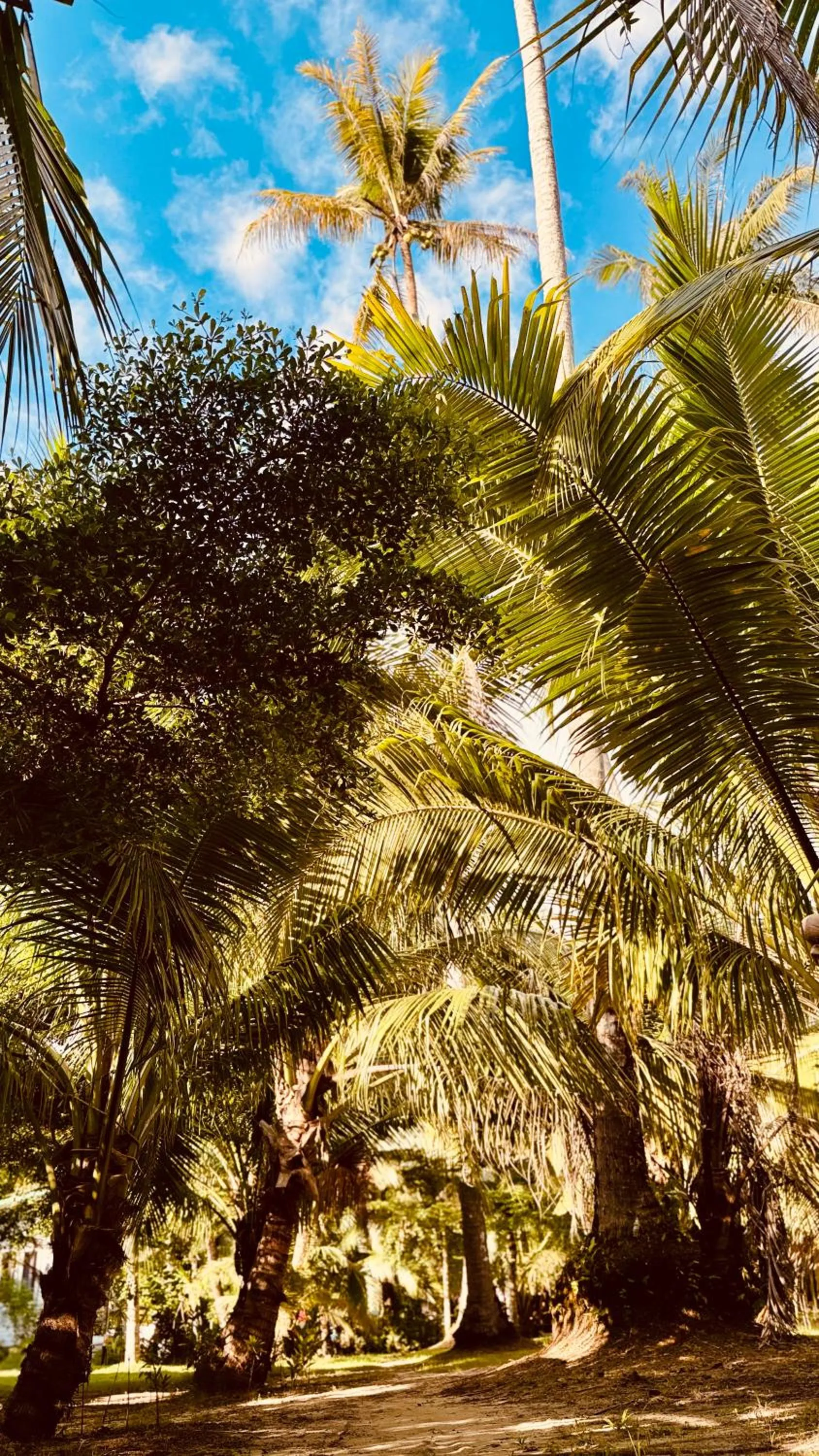 Suan Maprao Ko Kut Resort