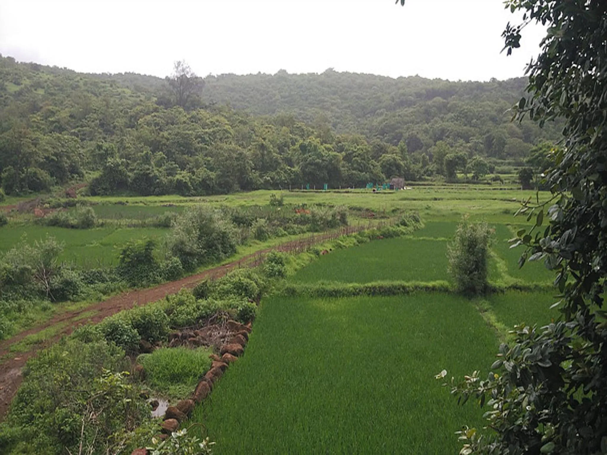 Nearby landmark in Whistling Waves Beach Resort