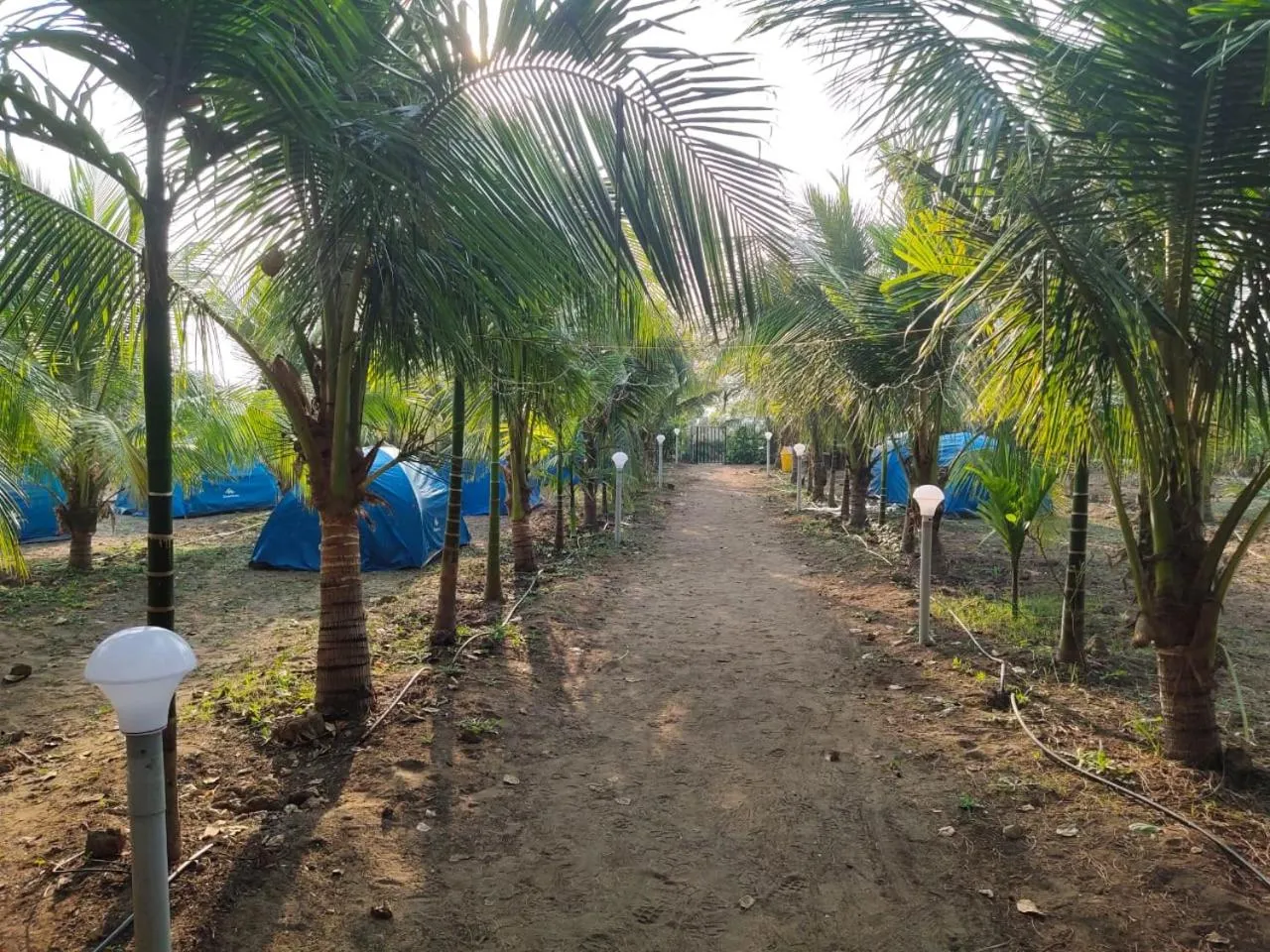 Entertainment in Whistling Waves Beach Resort