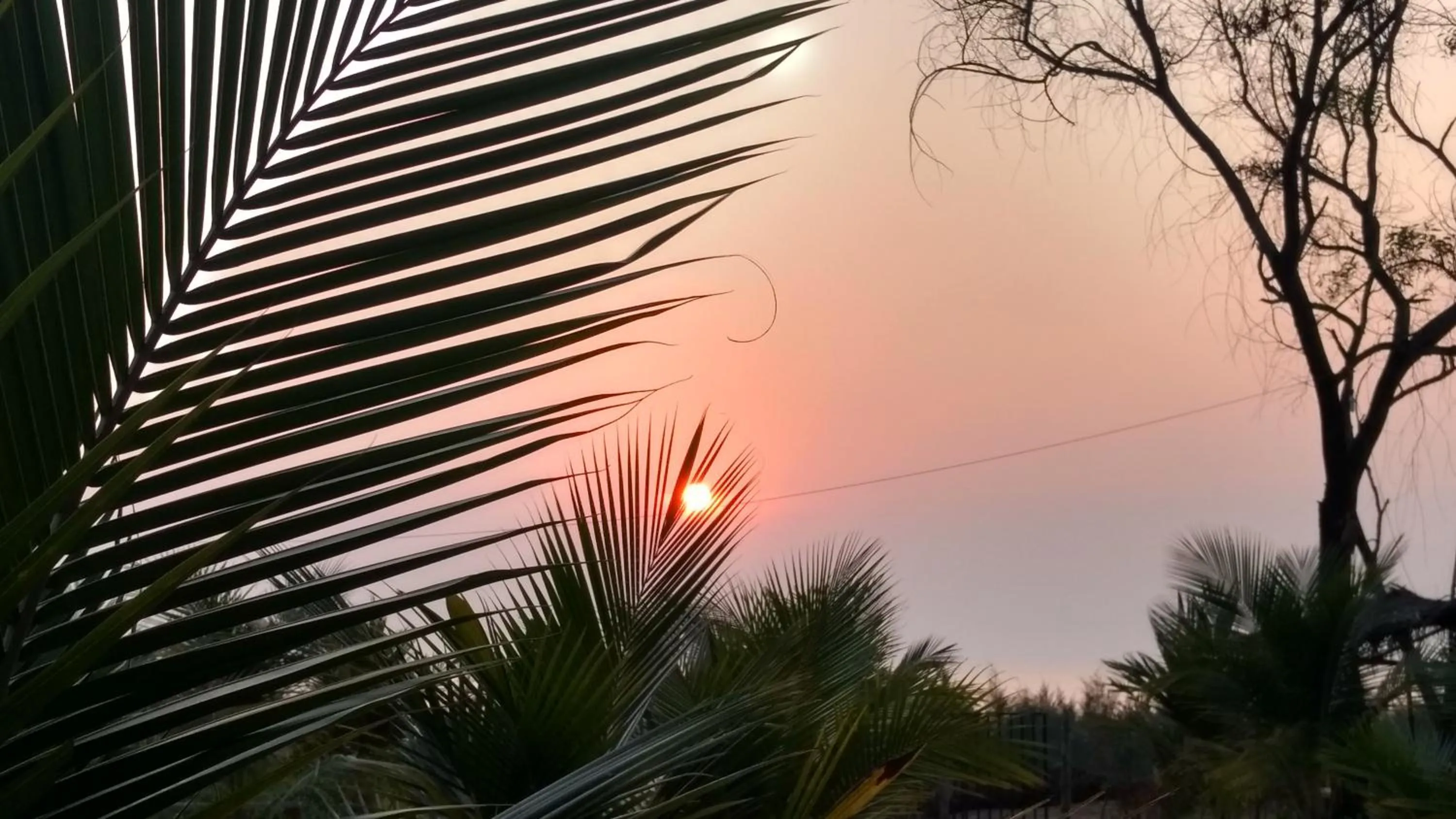 Beach in Whistling Waves Beach Resort