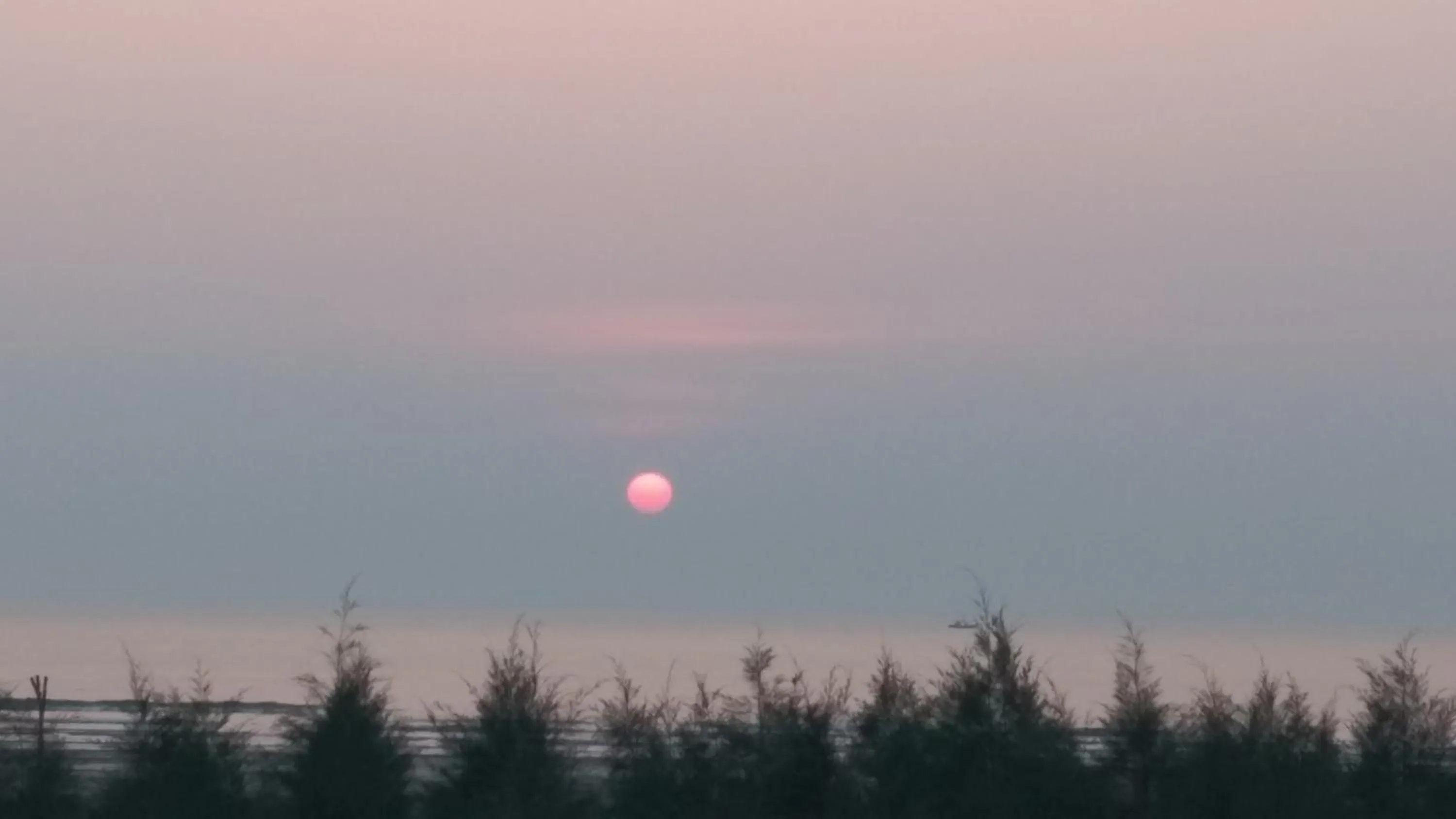 Beach in Whistling Waves Beach Resort