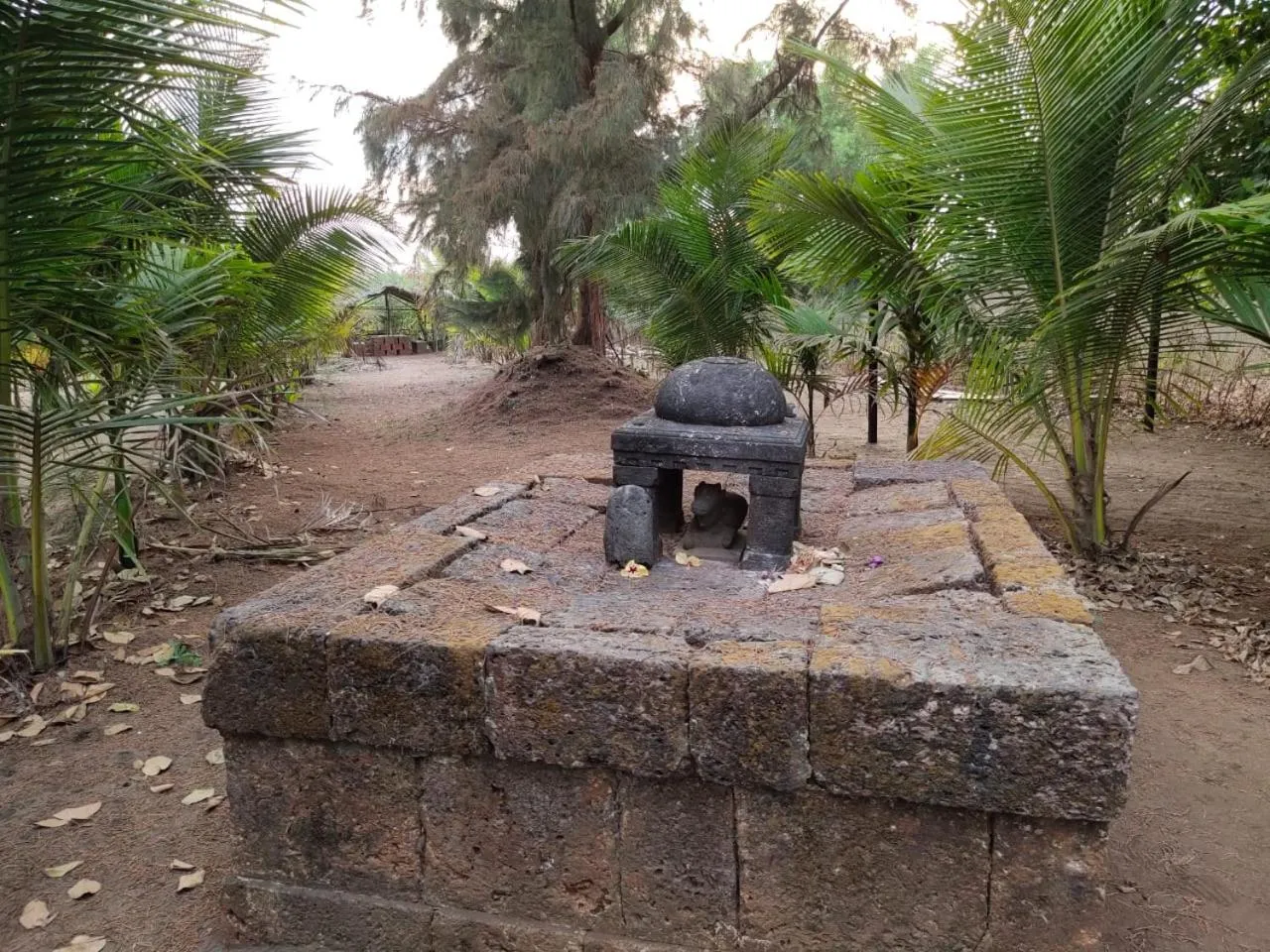 Area and facilities in Whistling Waves Beach Resort