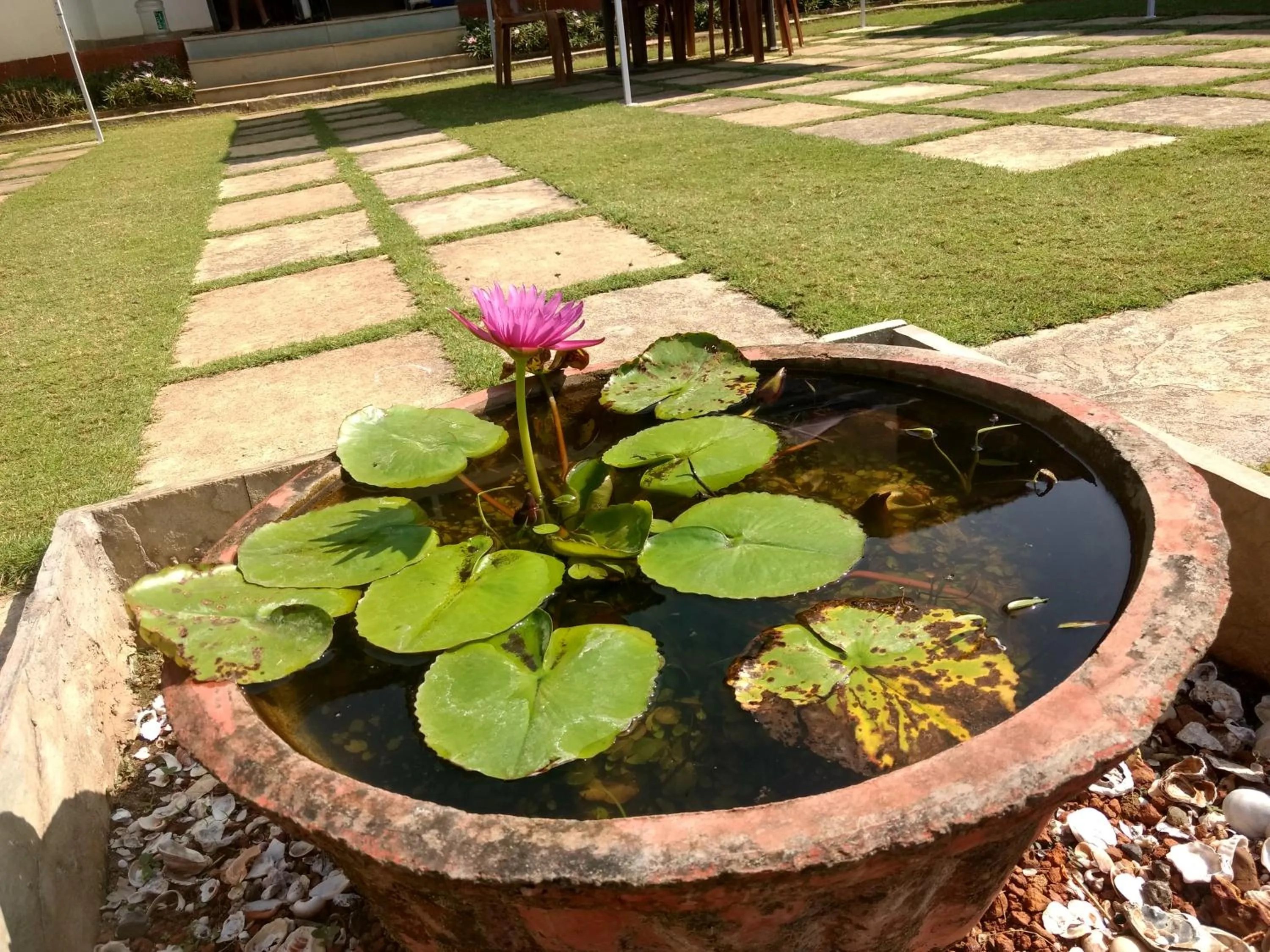 Garden in Whistling Waves Beach Resort