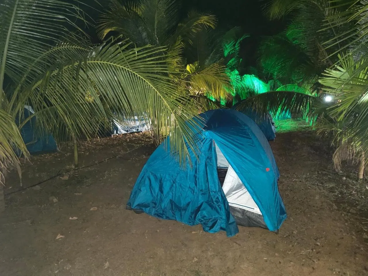 Entertainment in Whistling Waves Beach Resort