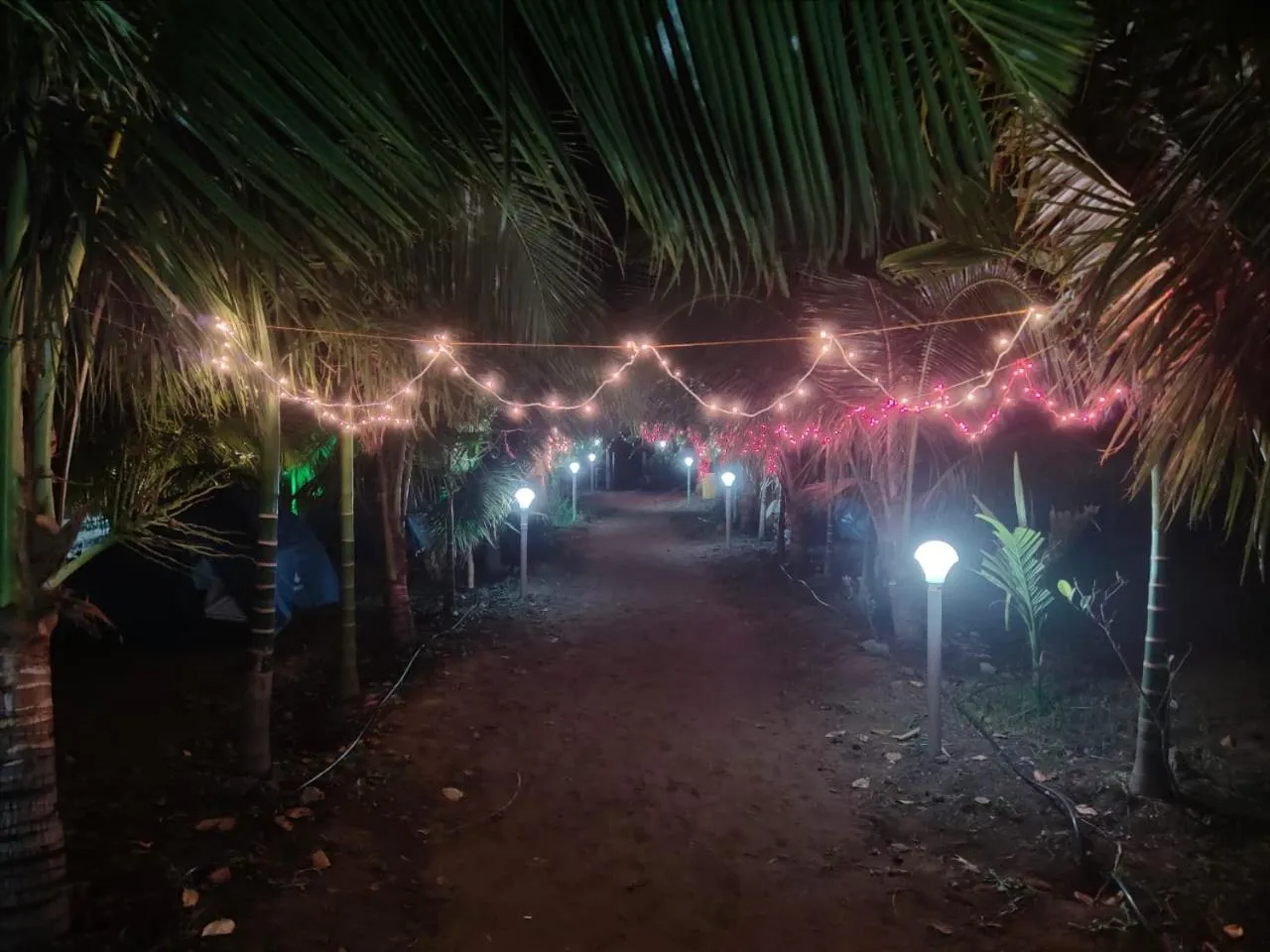 Entertainment in Whistling Waves Beach Resort