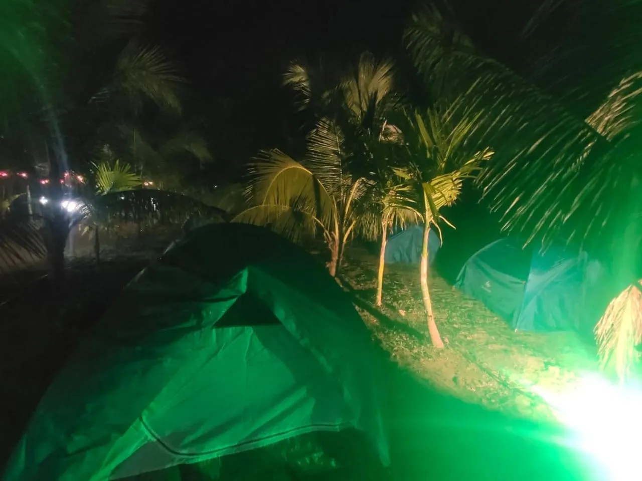 Entertainment in Whistling Waves Beach Resort