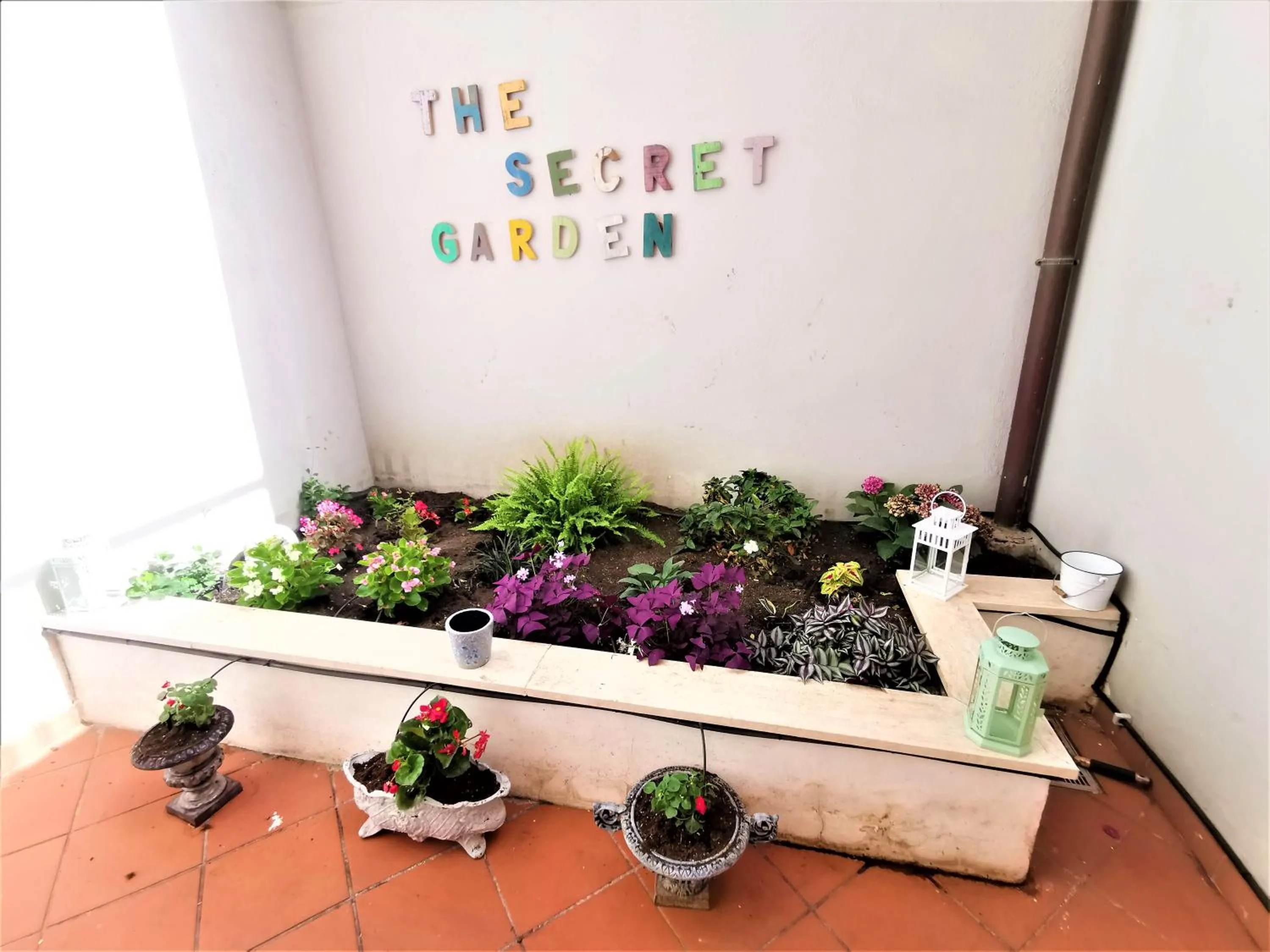 Garden in Bellezza Al Colosseo - B&B & Apts