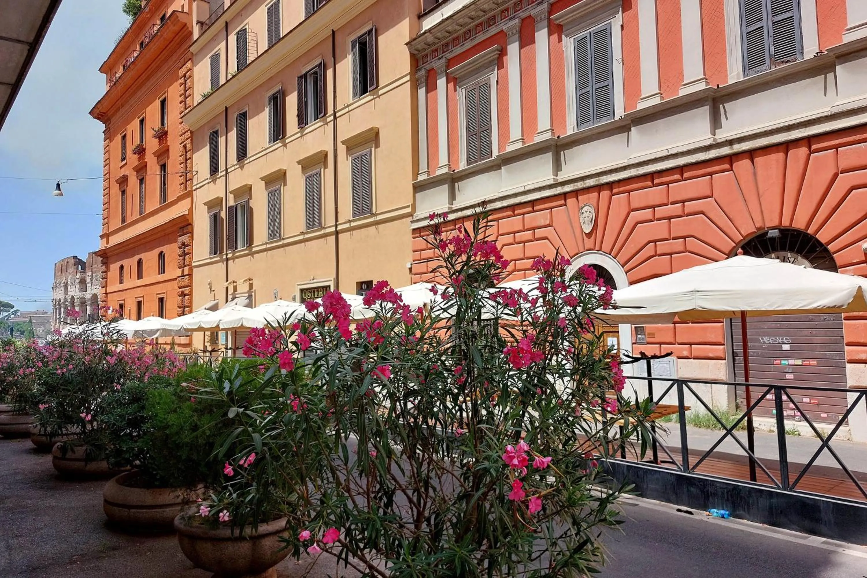 Spring in Bellezza Al Colosseo - B&B & Apts