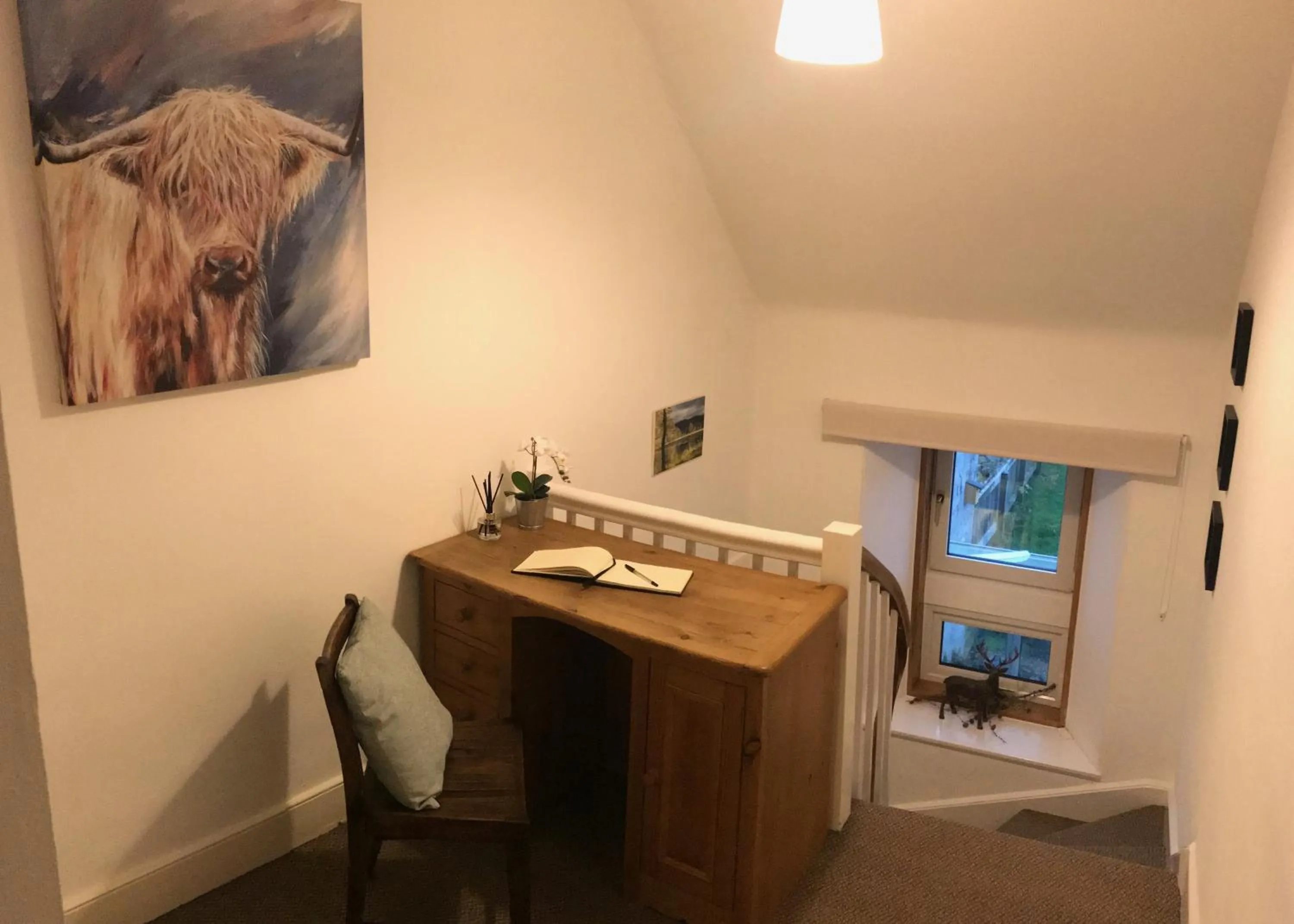 Other in Carrick House