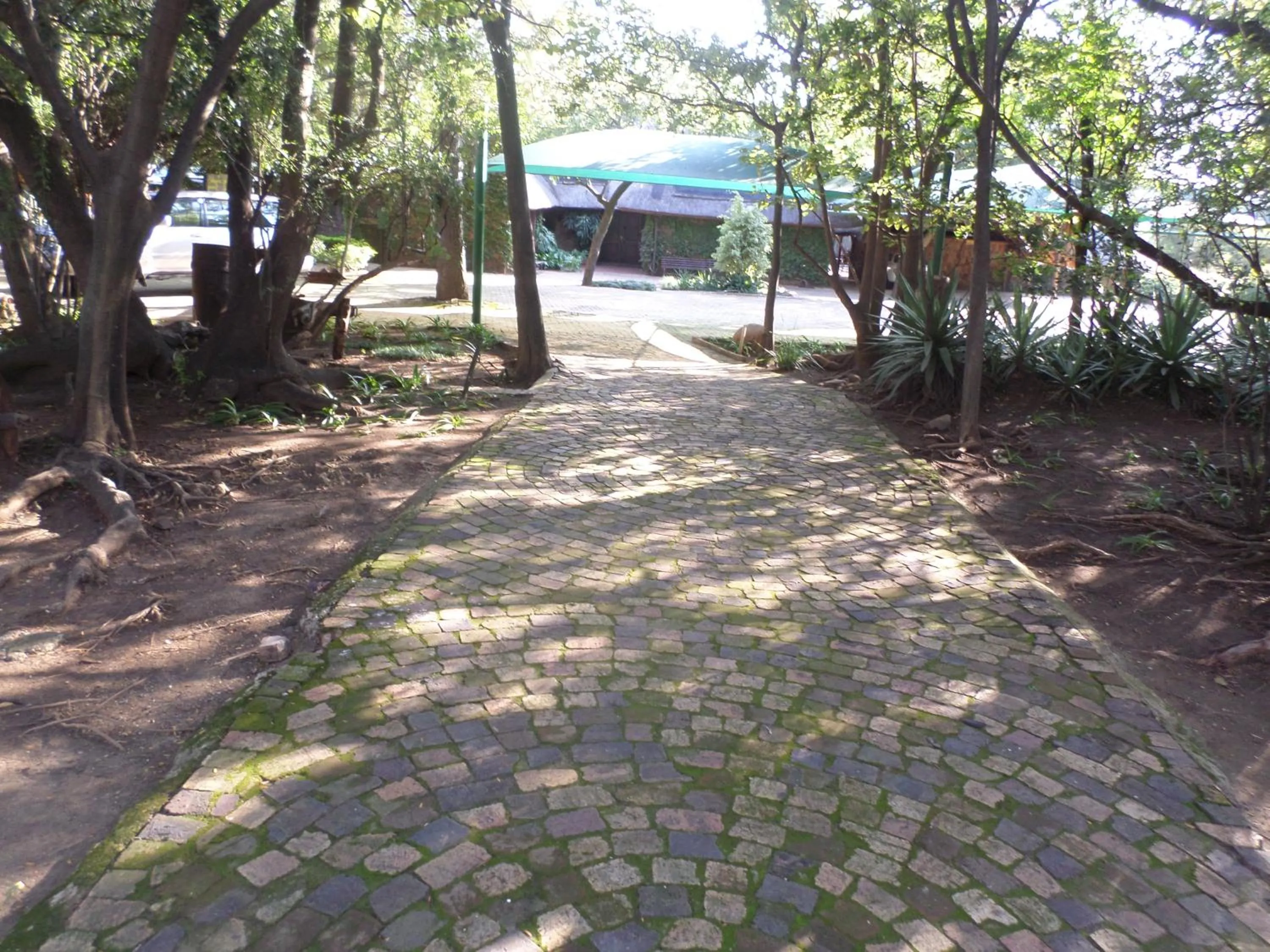 Garden in Foundry Guest Lodge