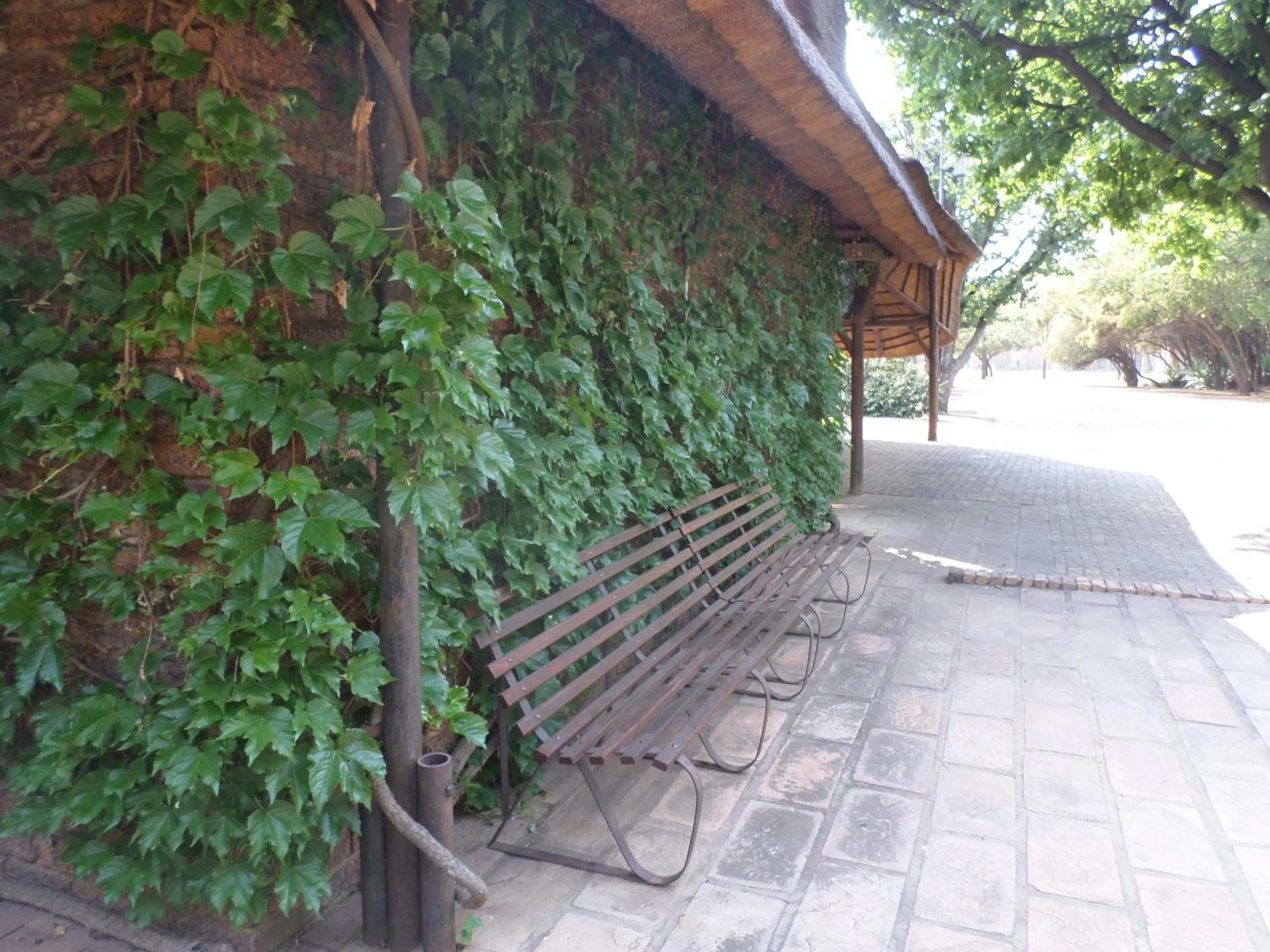 Garden in Foundry Guest Lodge