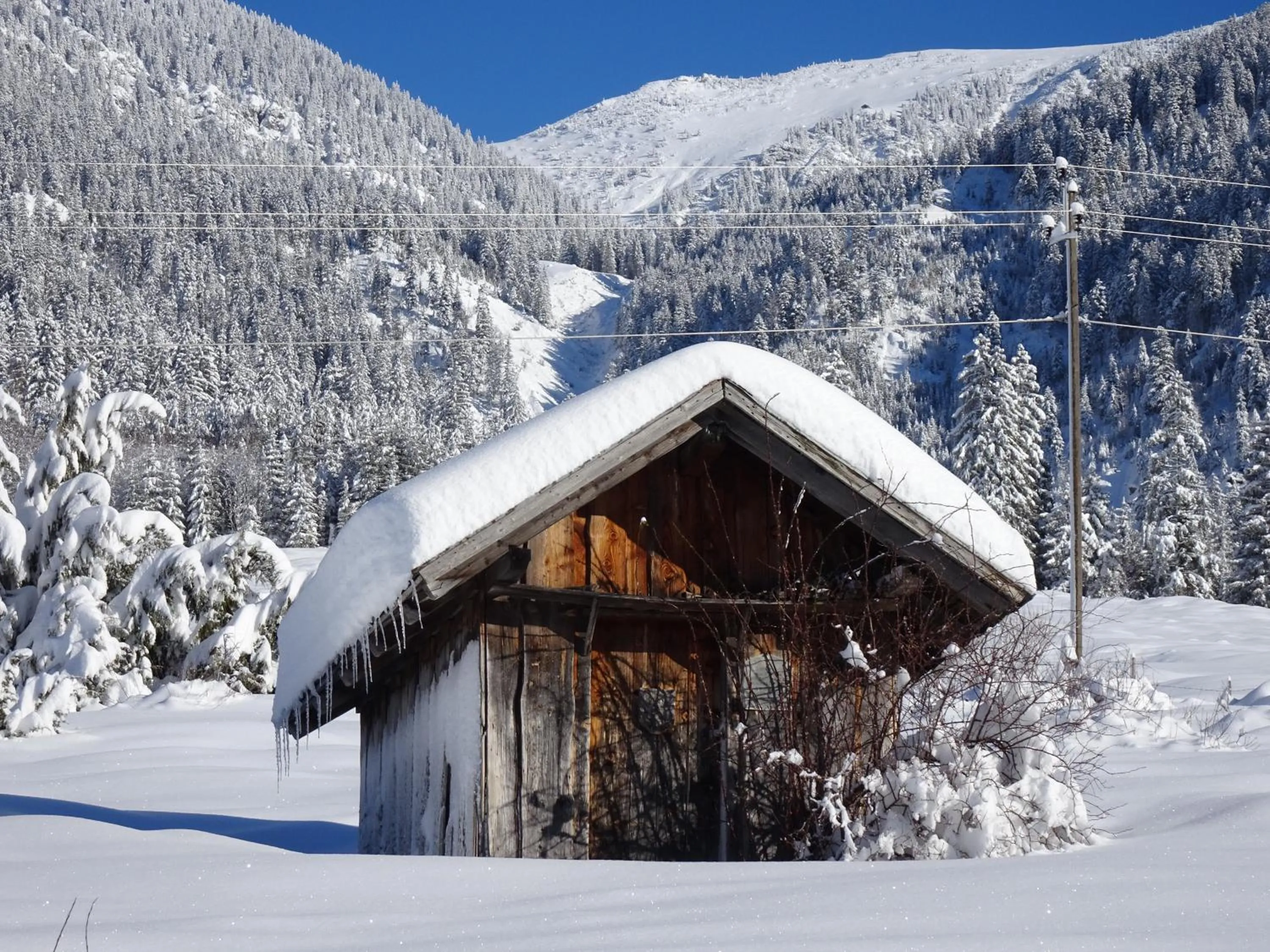 Natural landscape in Bergsteiger-Hotel "Grüner Hut"