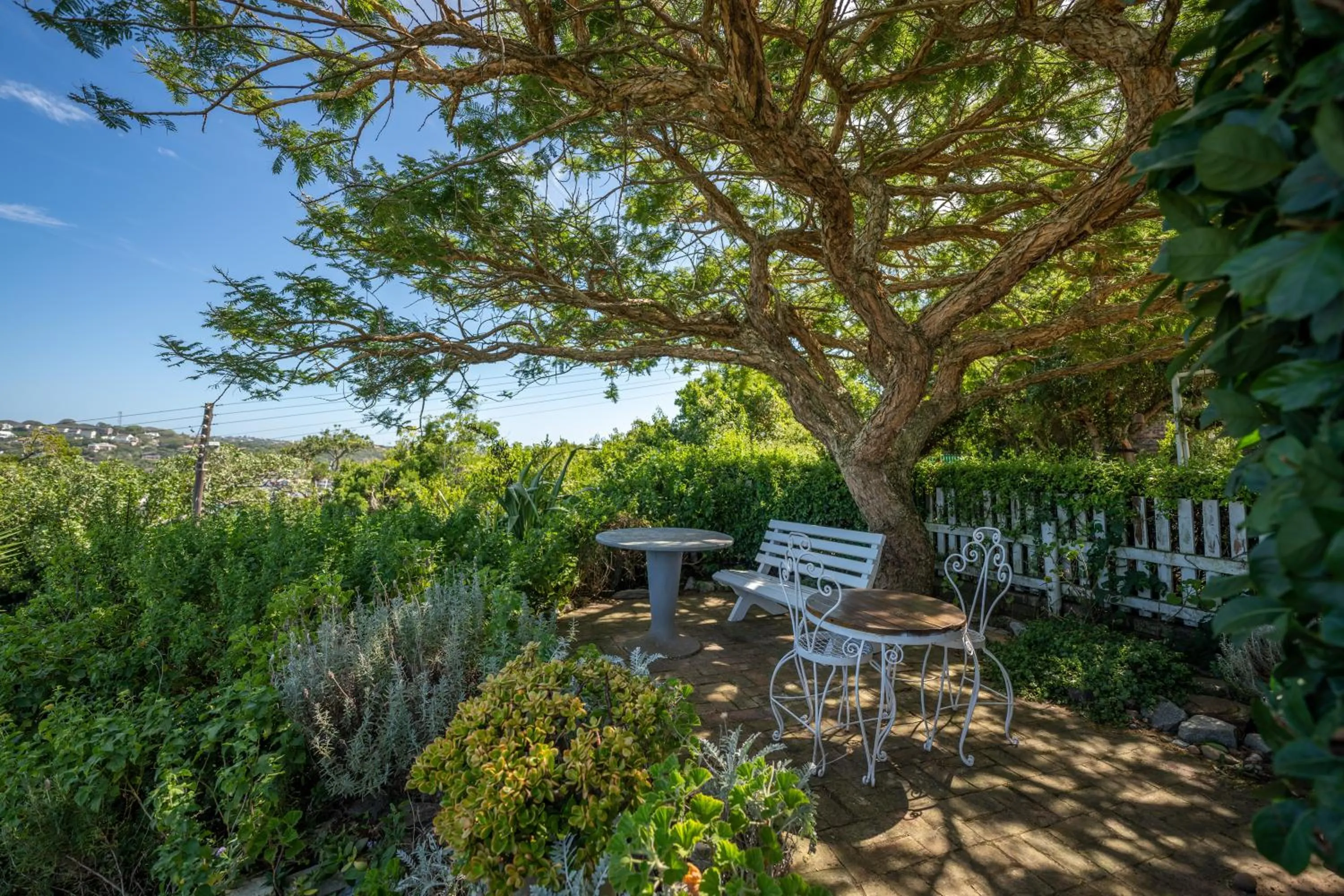 Garden in The Lookout Guest House