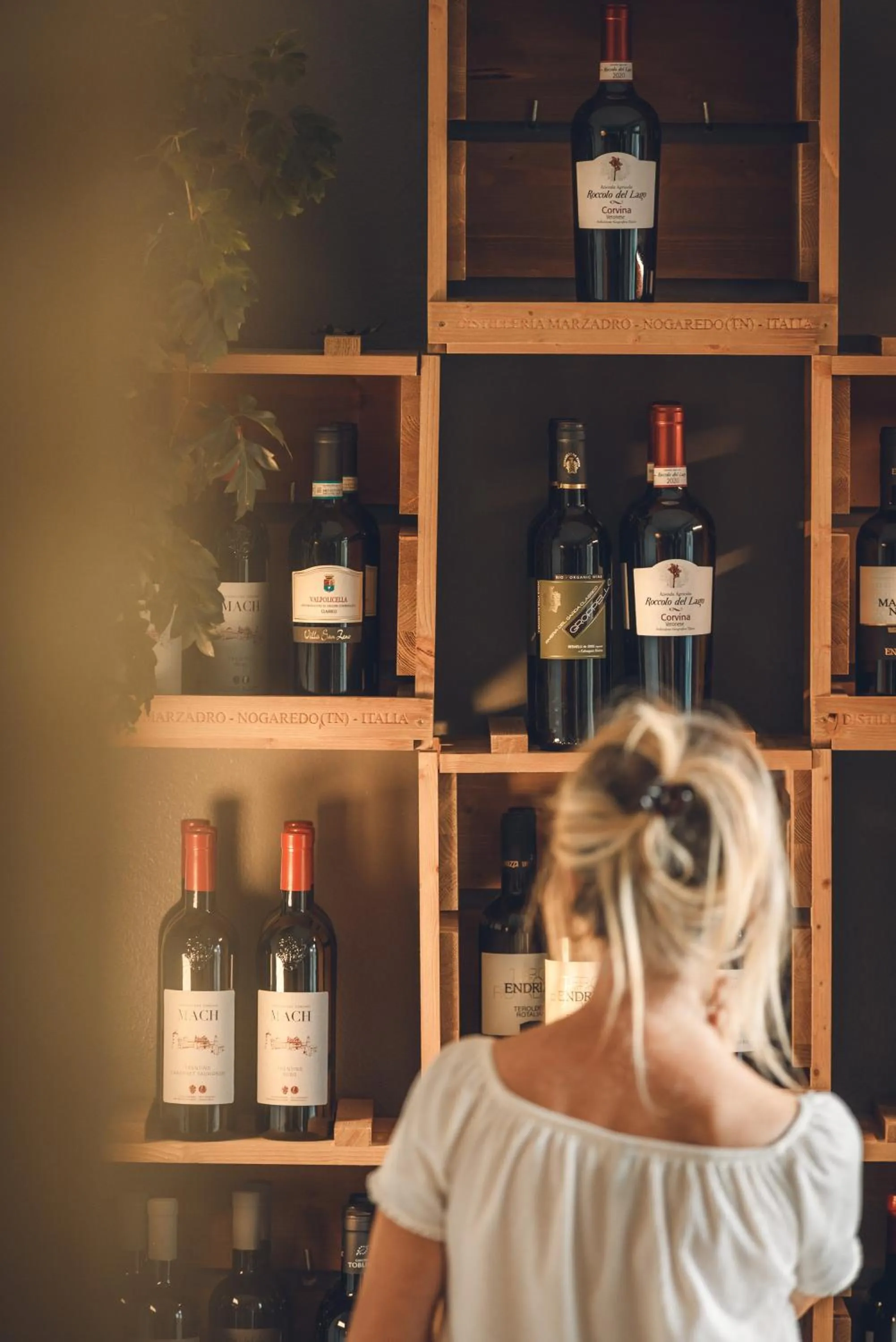 Restaurant/places to eat in Boutique Hotel Villa Alberta