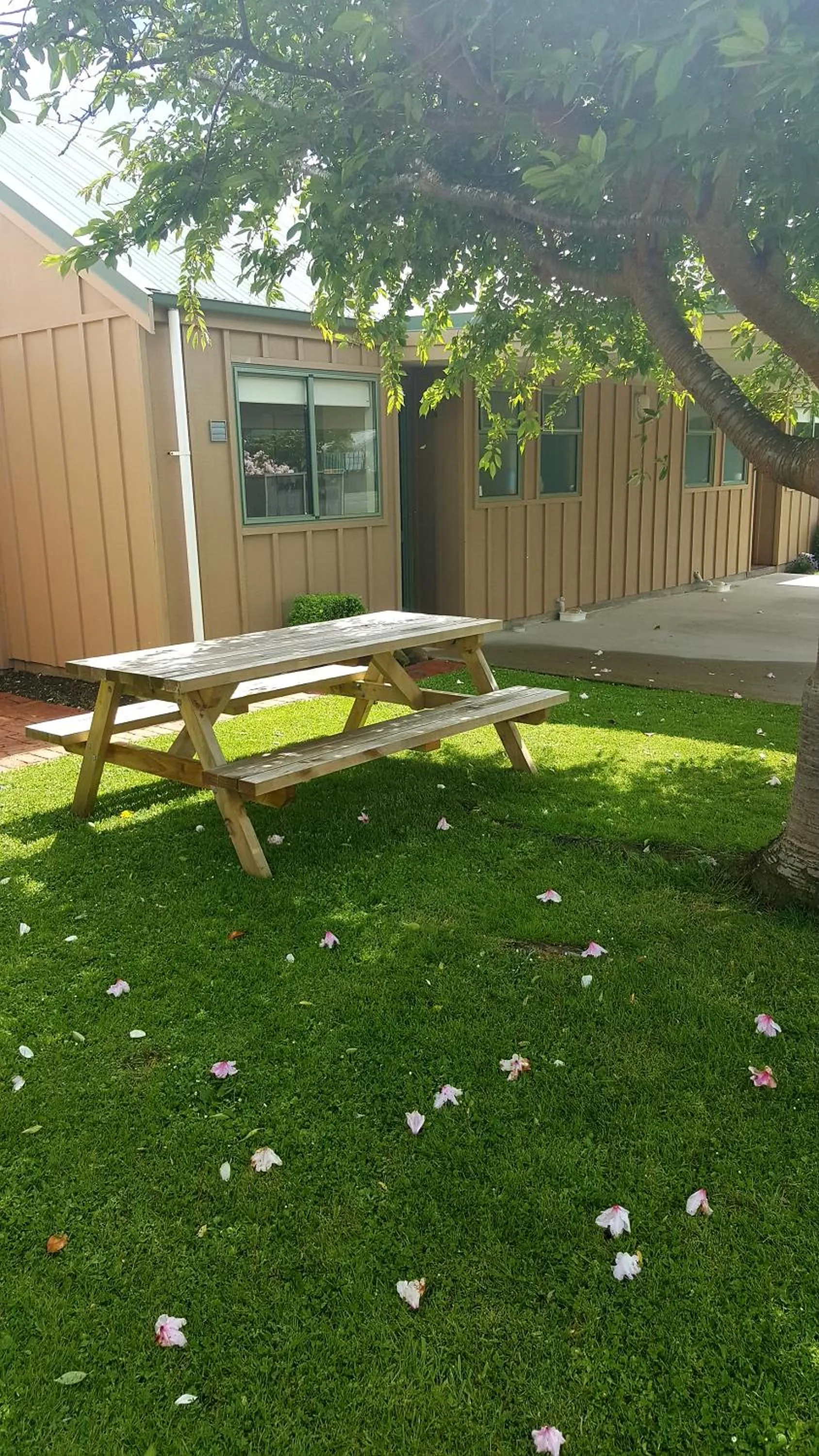 Catlins Area Motel