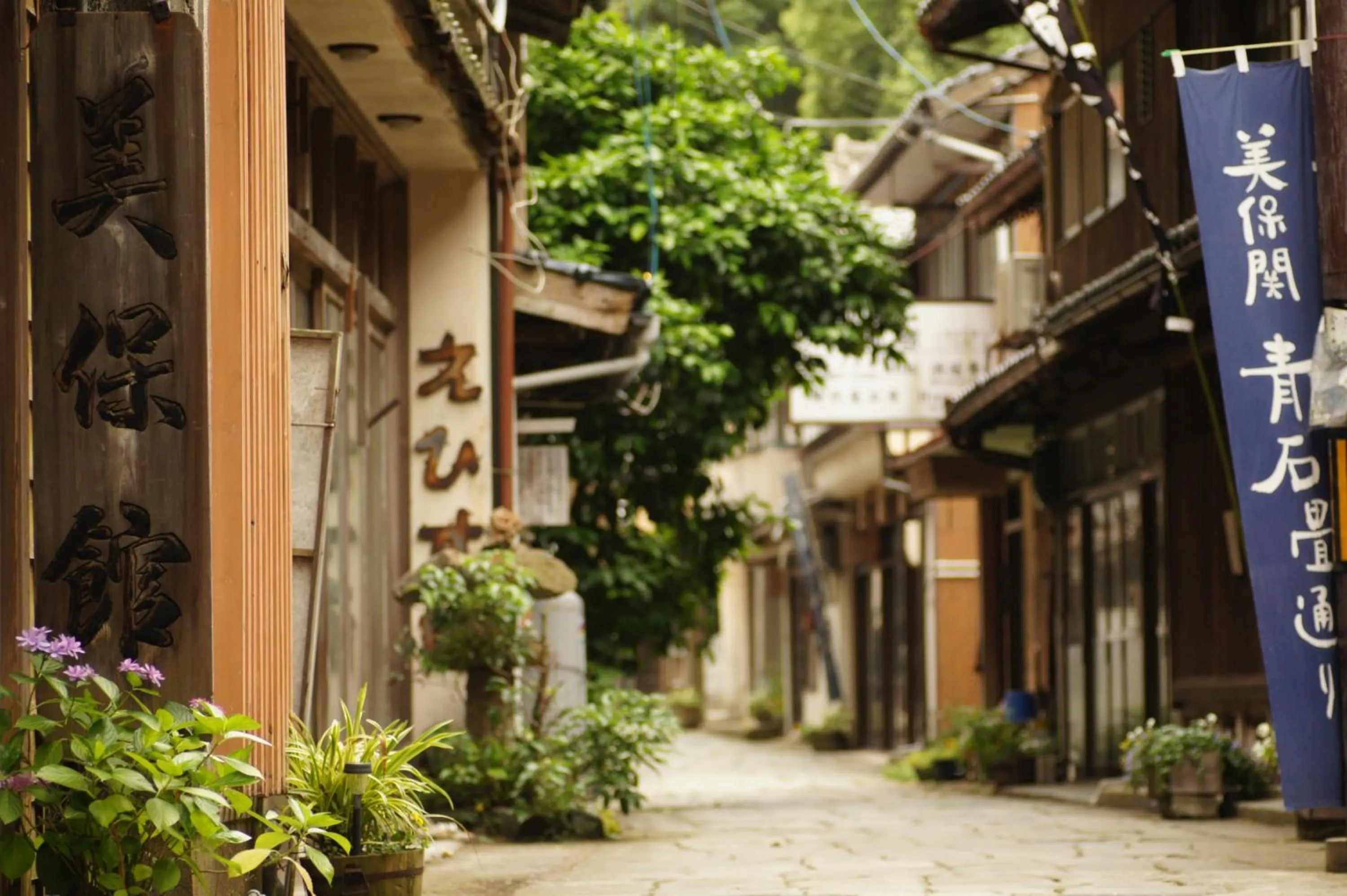 Property building in Mihokan