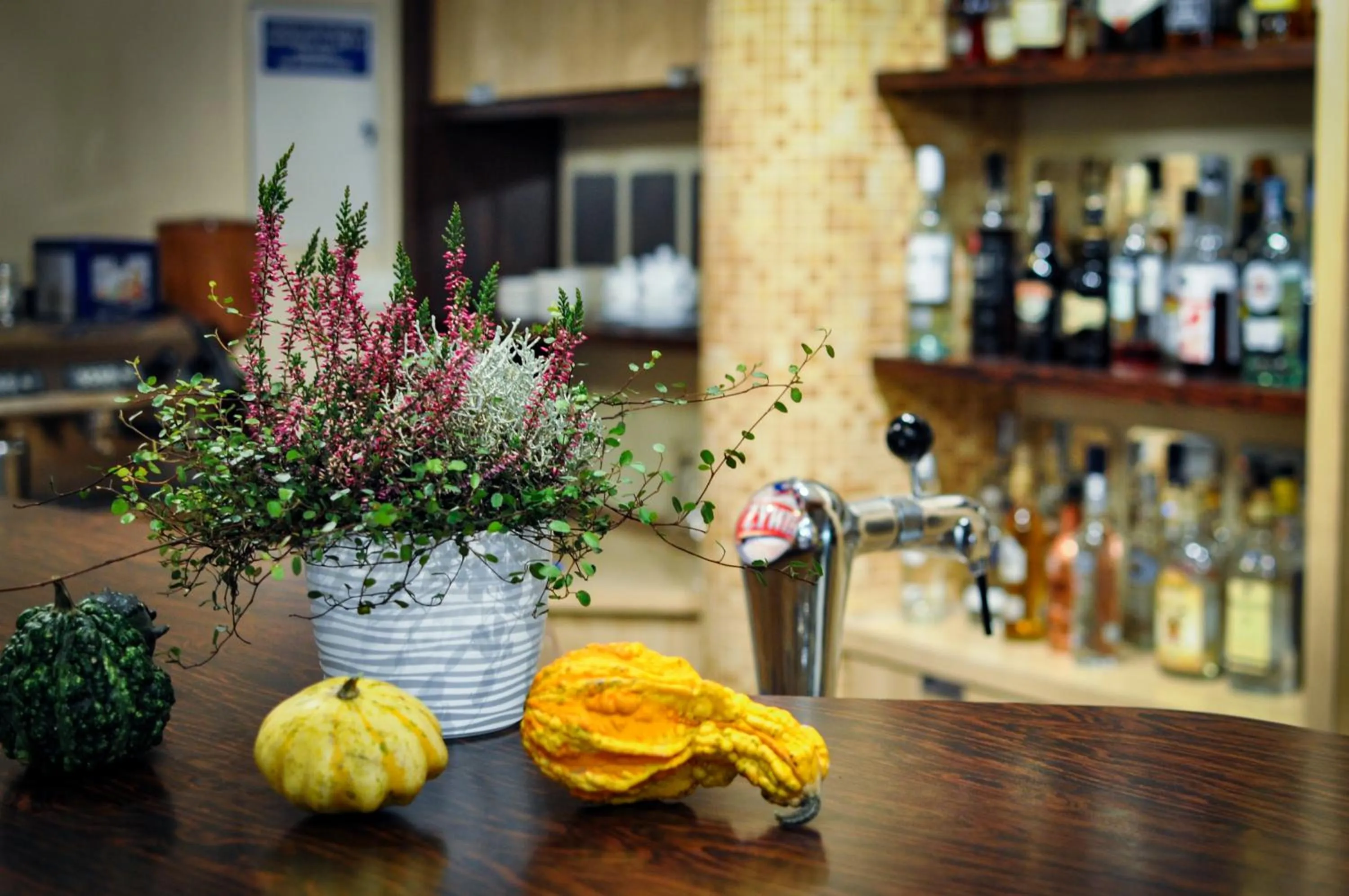 Lounge or bar in Hotel Trzy Światy Spa & Wellness Rajska WySpa