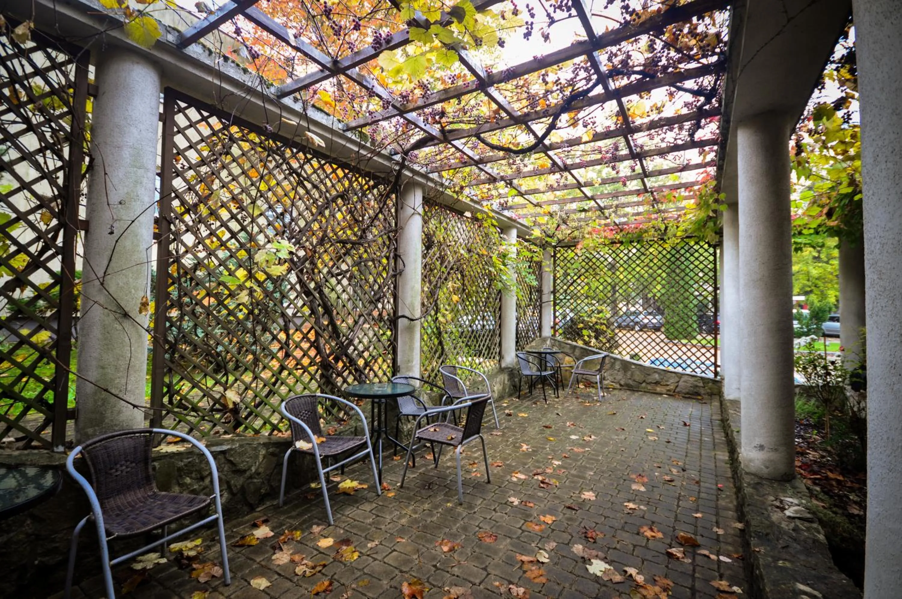 Patio in Hotel Trzy Światy Spa & Wellness Rajska WySpa