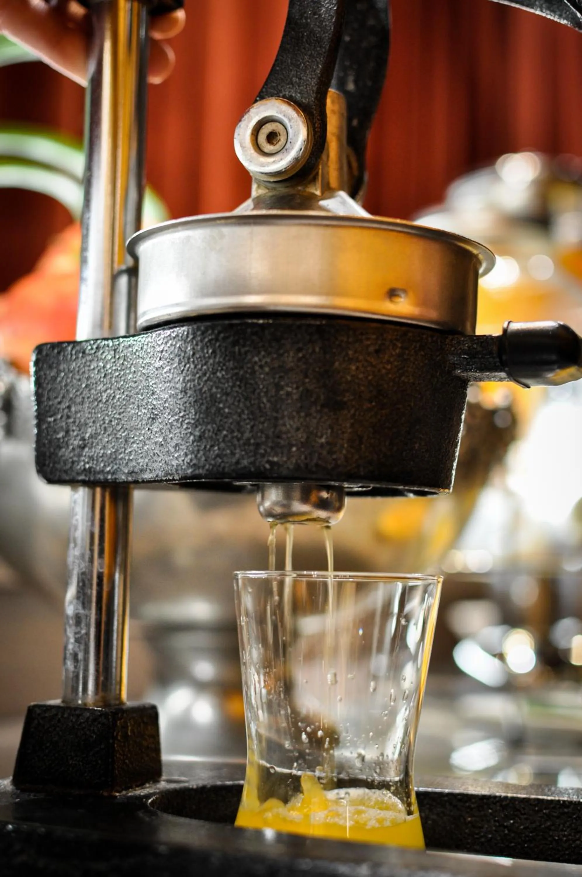 Food and drinks in Hotel Trzy Światy Spa & Wellness Rajska WySpa