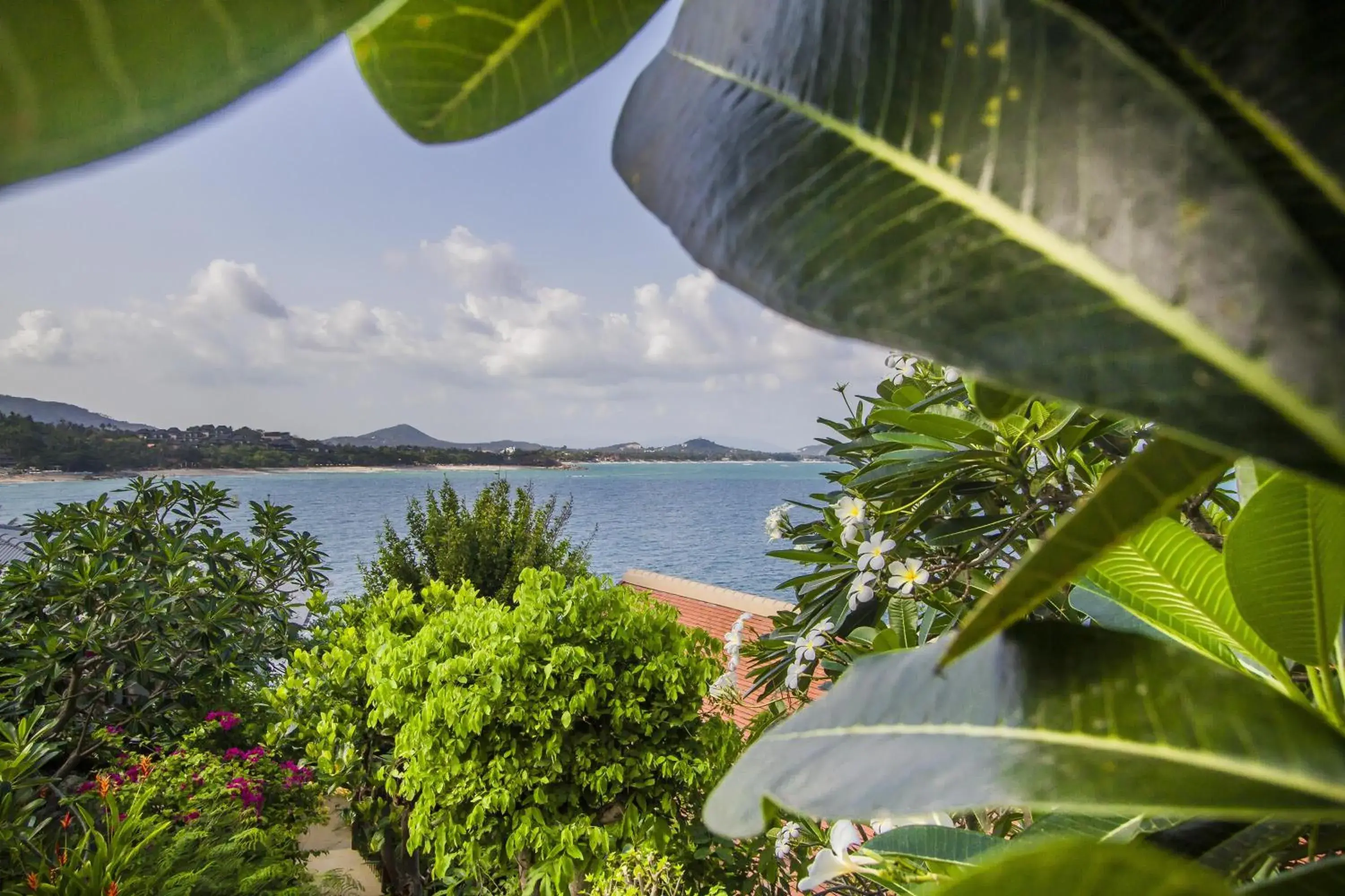 Street view in Boujis Boutique Resort Street view in Boujis Boutique Resort