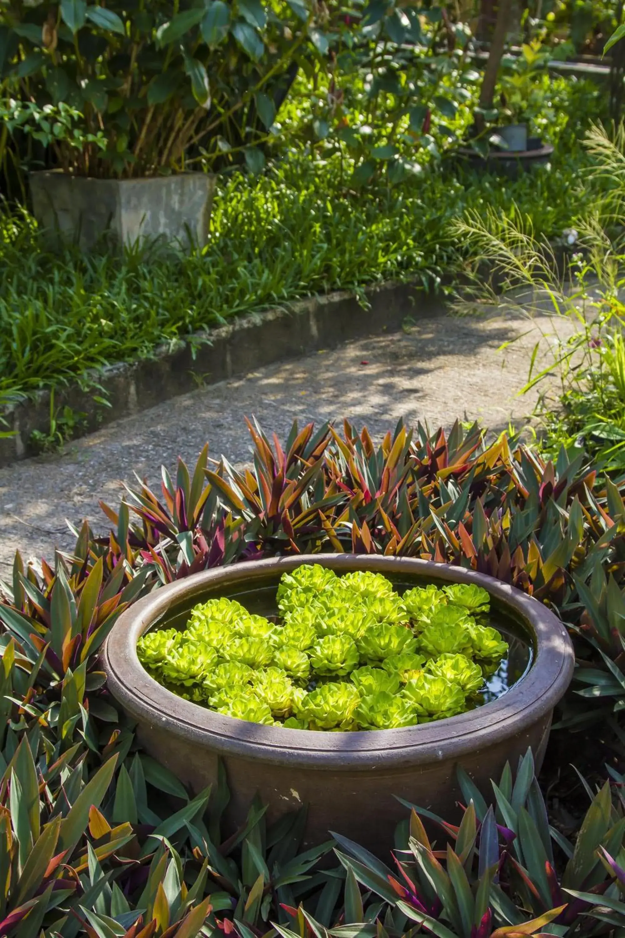 Property building in Boujis Boutique Resort Property building in Boujis Boutique Resort