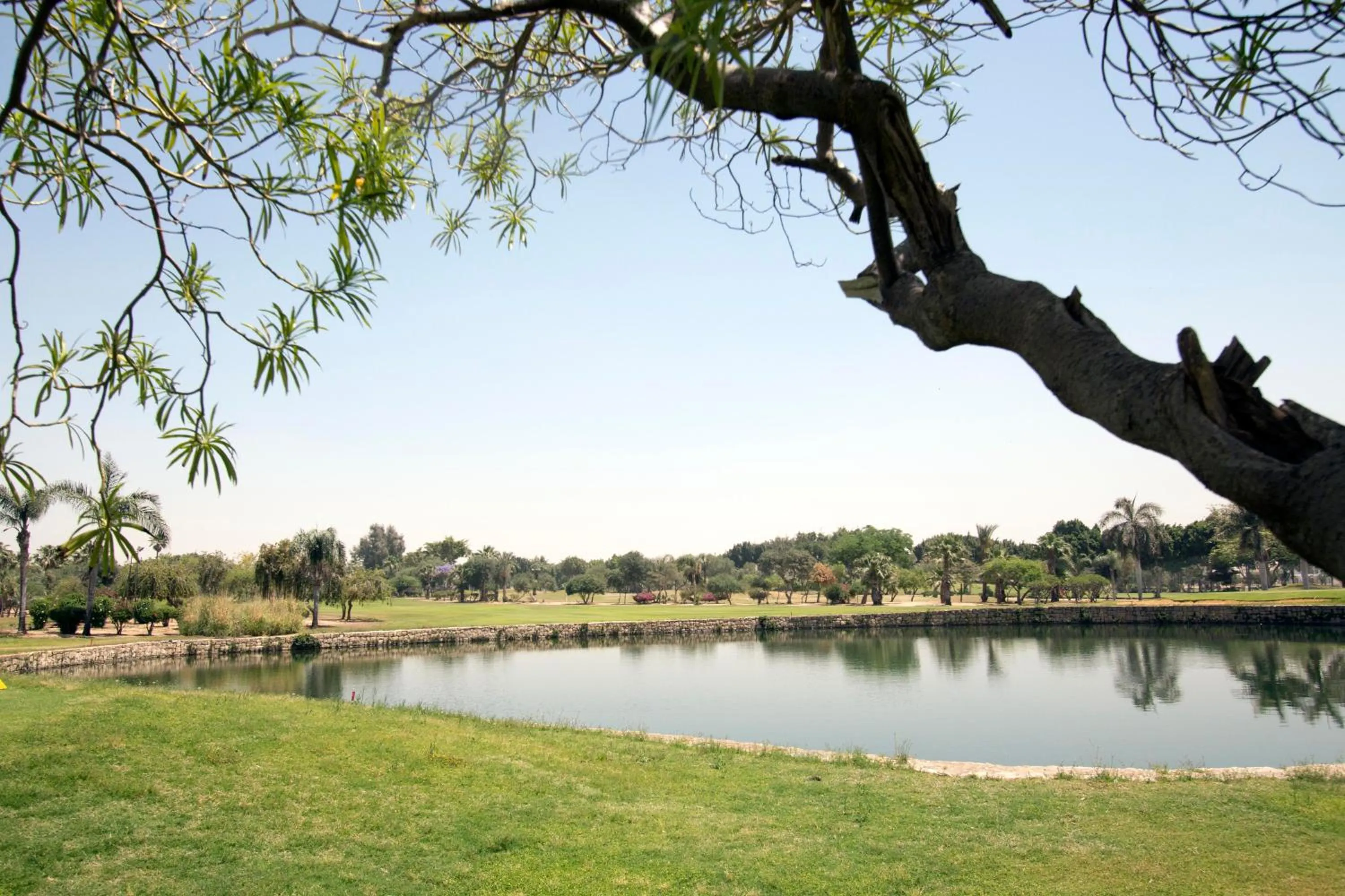 Golfcourse in Swiss Inn Pyramids Golf Resort