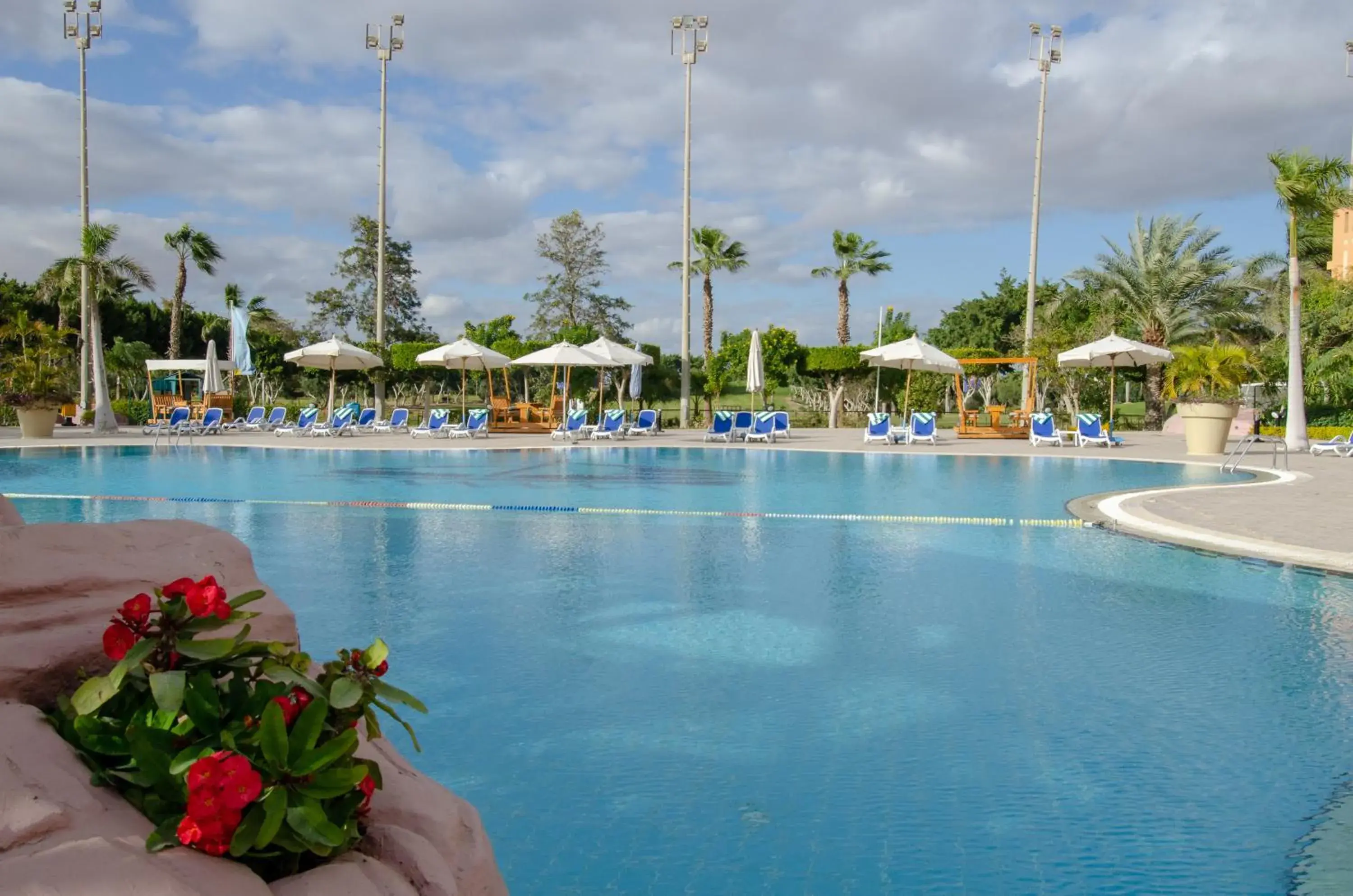 Swimming pool in Swiss Inn Pyramids Golf Resort Swimming pool in Swiss Inn Pyramids Golf Resort