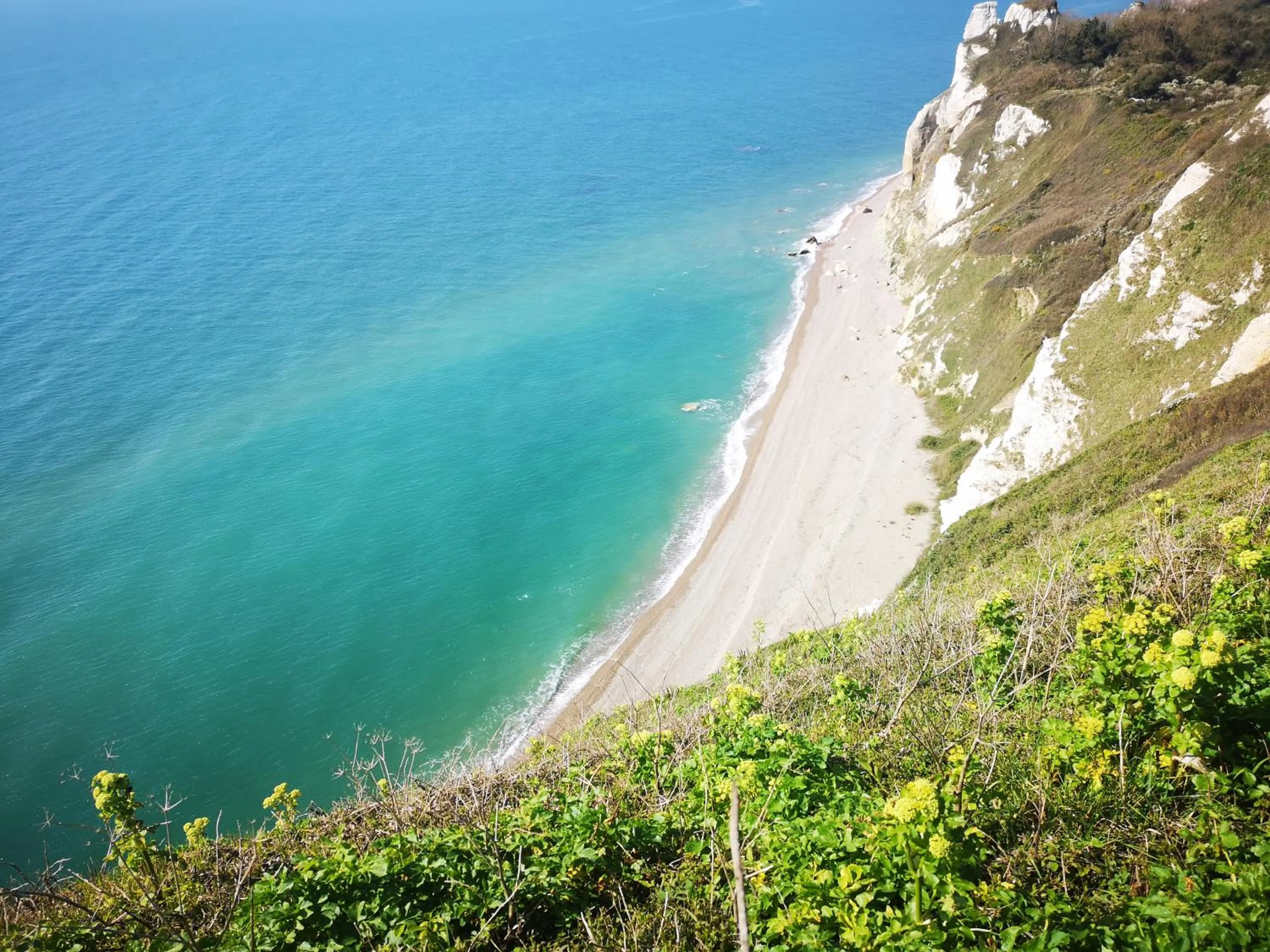 Natural landscape in Durham House