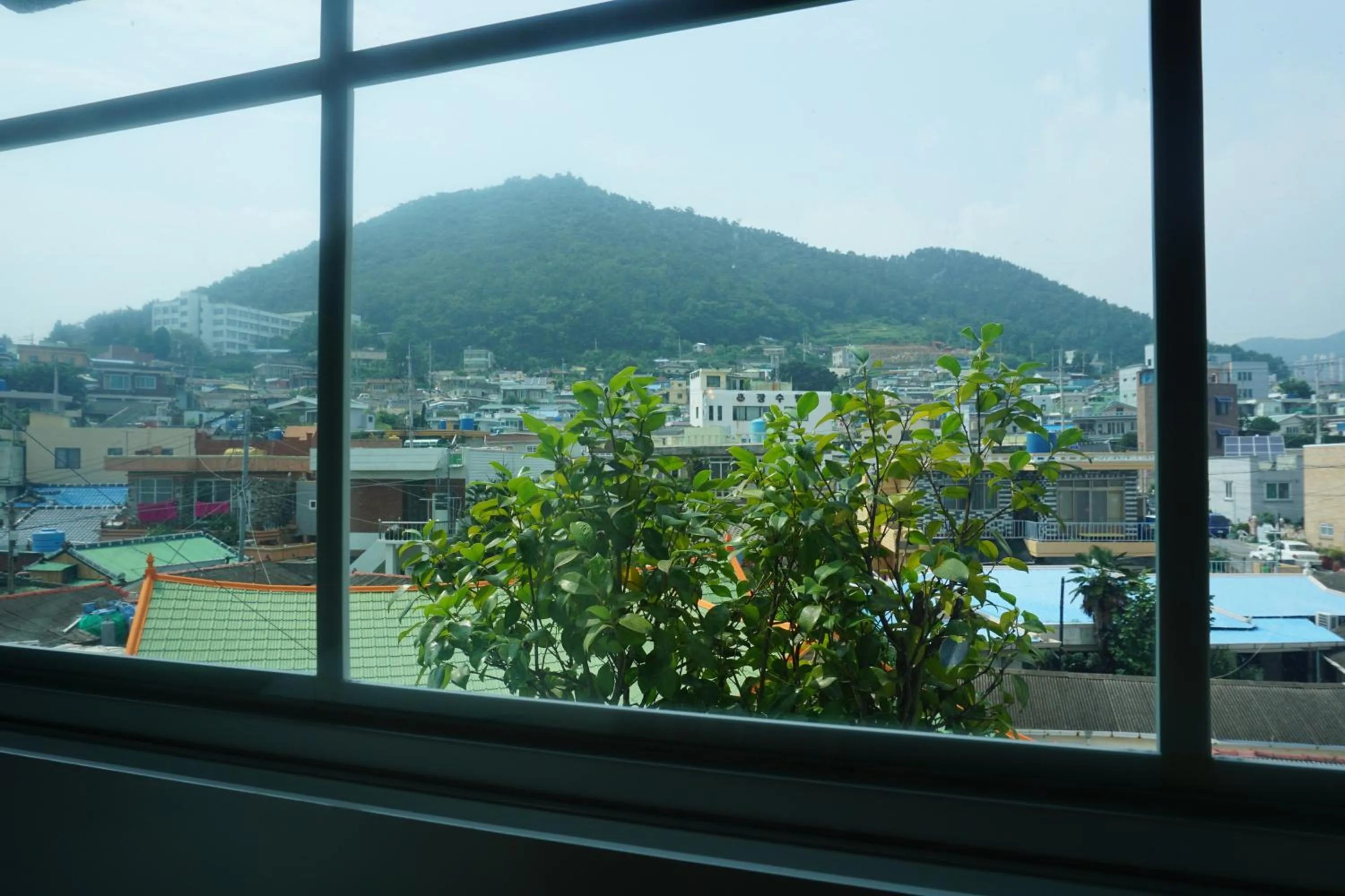 Mountain view in Grim Garden Guesthouse