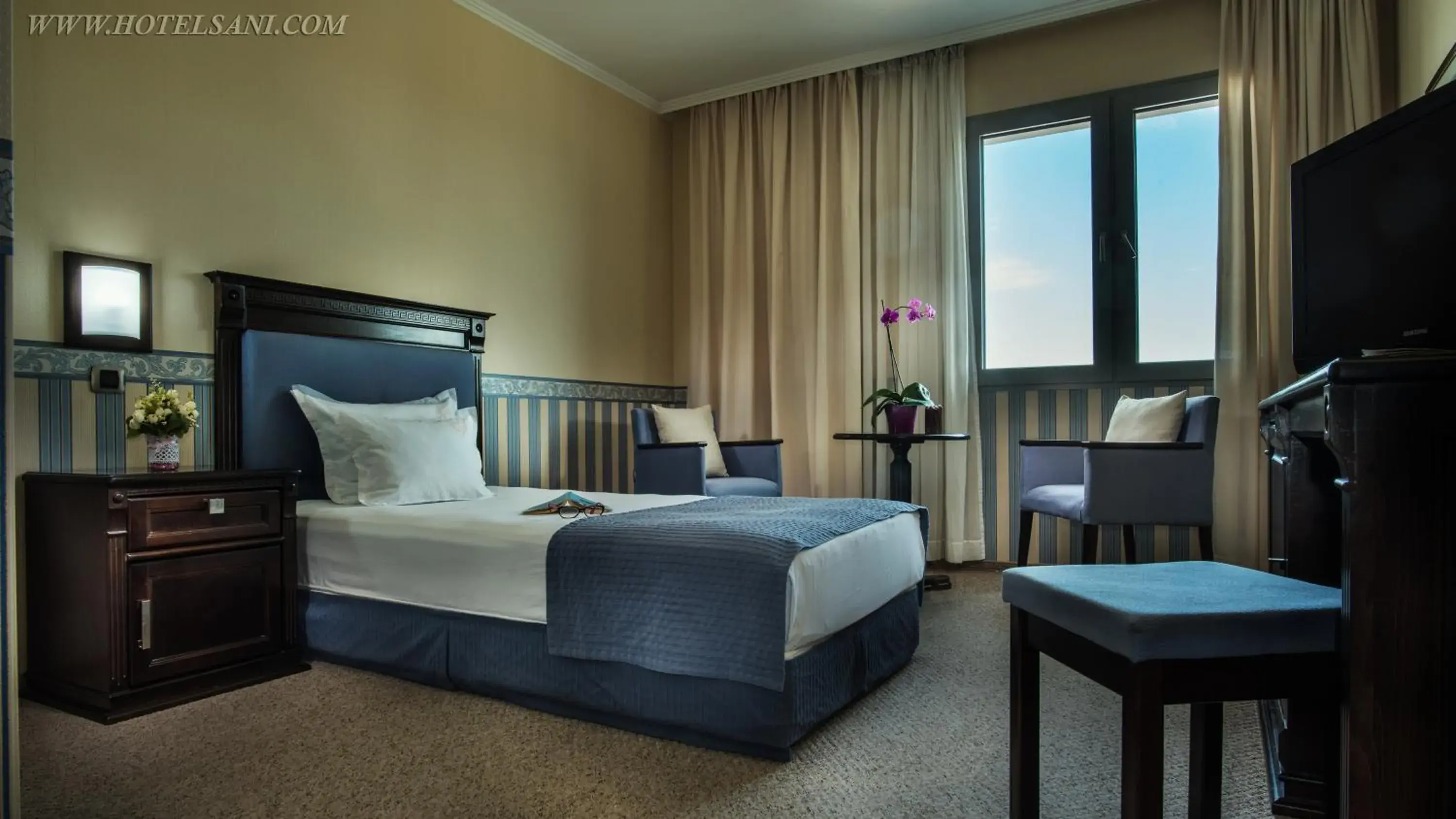 Single Room - single occupancy in Hotel Sani Single Room - single occupancy in Hotel Sani