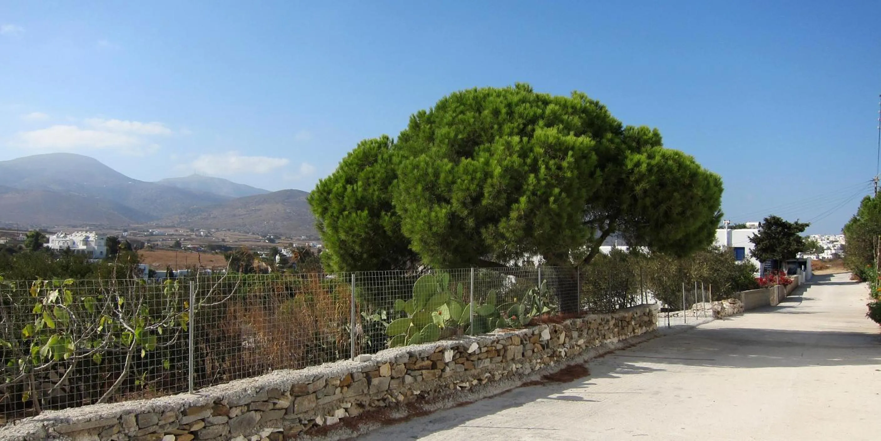 Quiet street view in Cleopatra Seaside Homes, Logaras, Paros