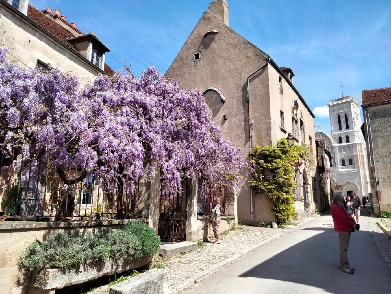 Facade/entrance in Les Glycines Vézelay