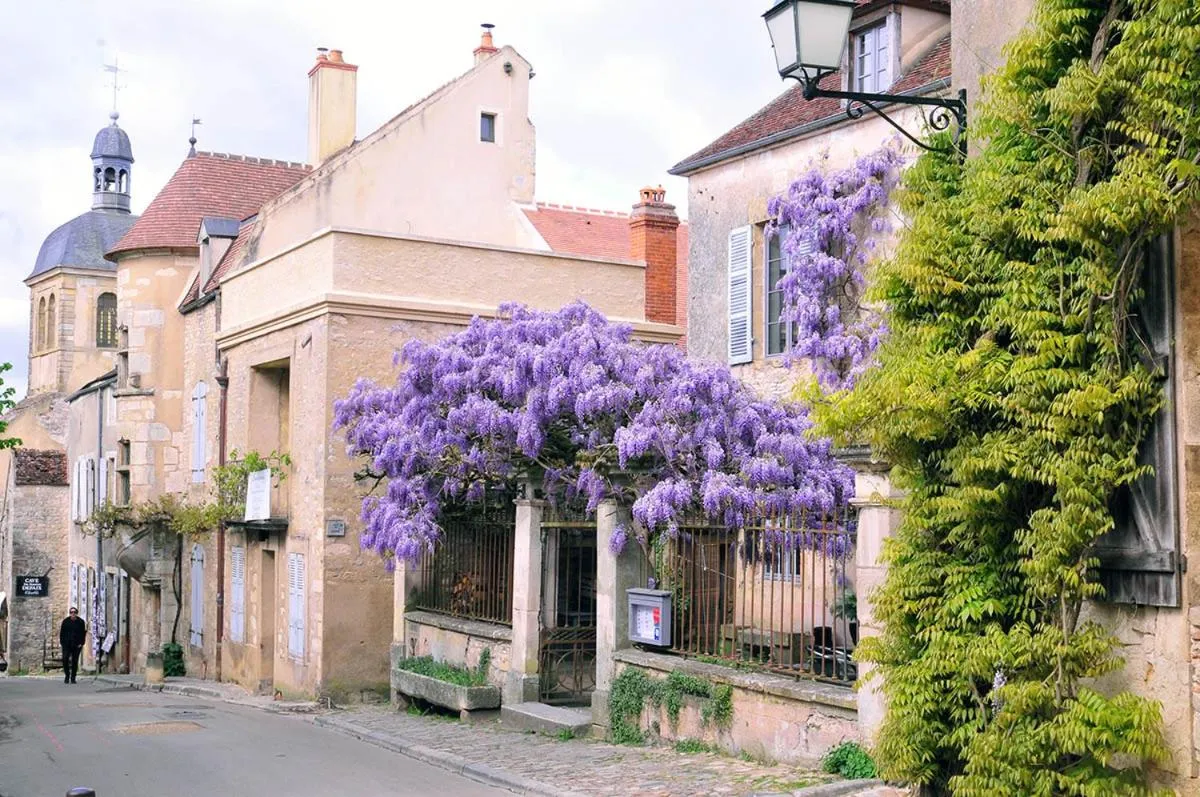 Property building in Les Glycines Vézelay